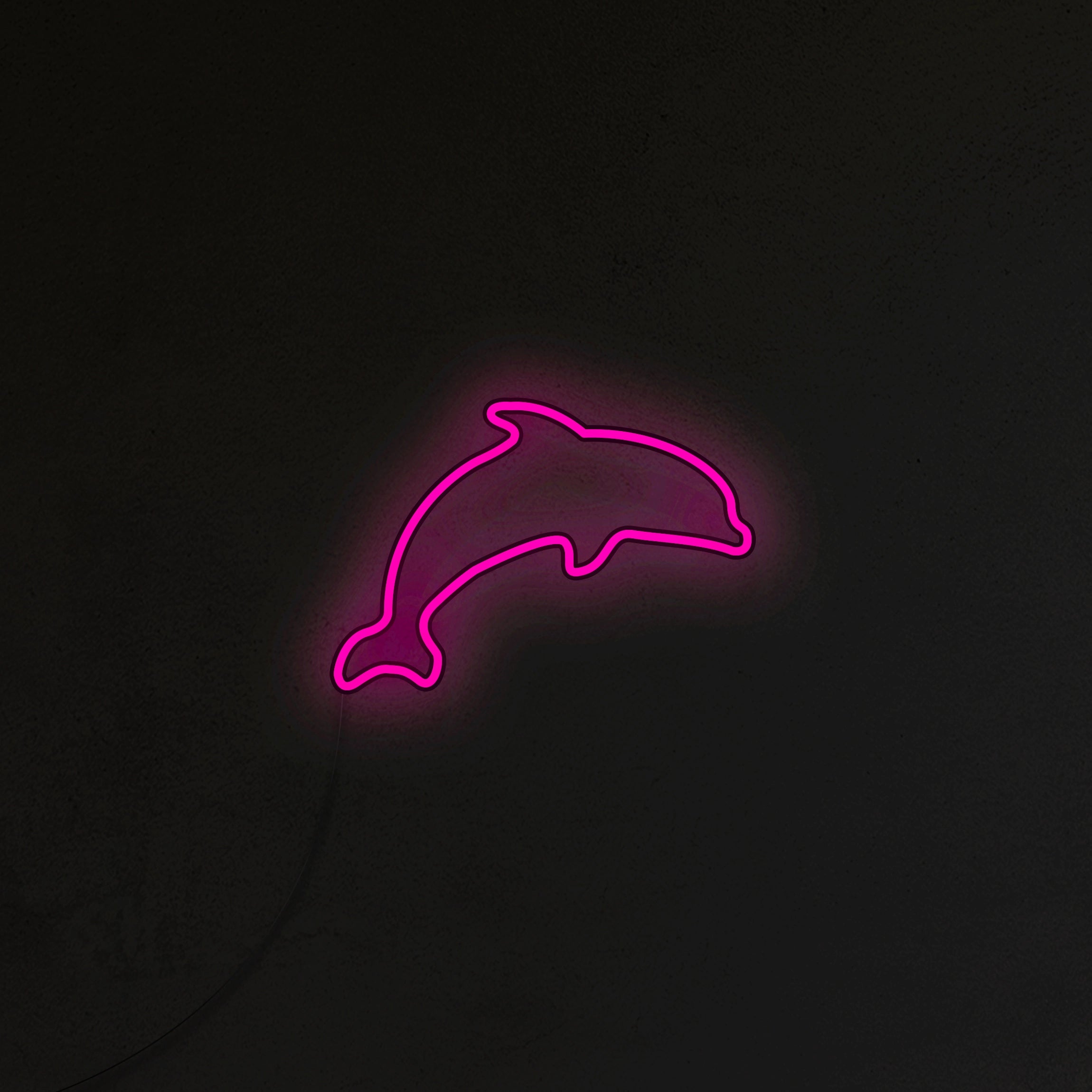 Delfin Neon LED