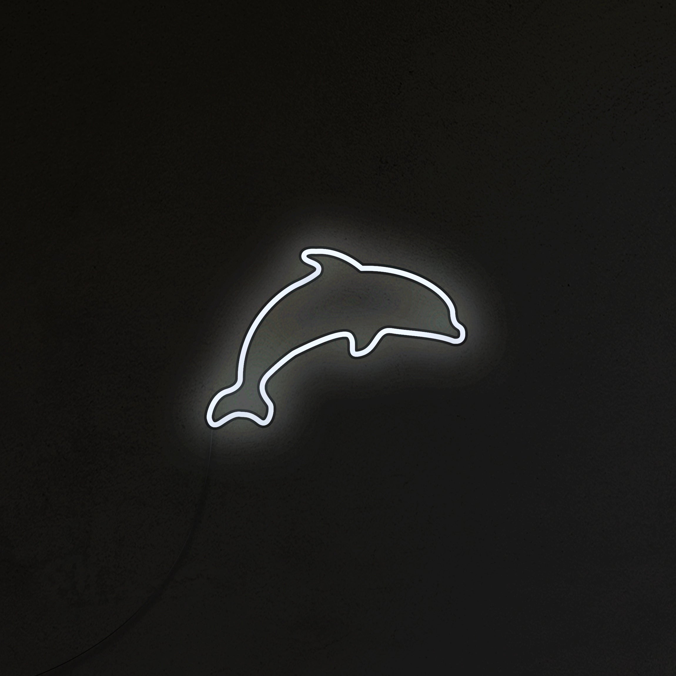 Delfin Neon LED