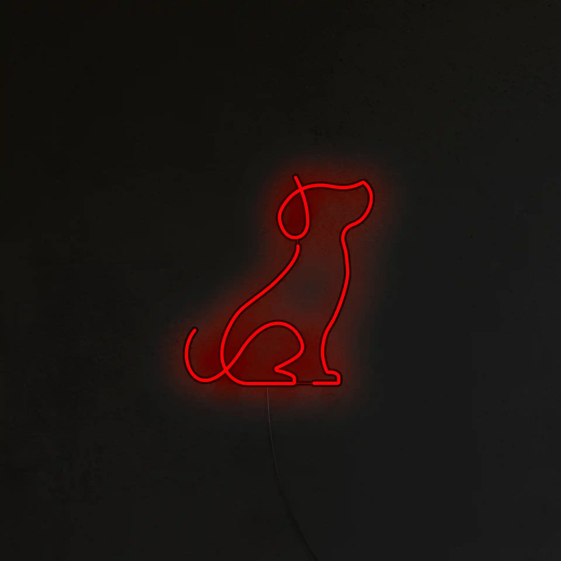Pies Picasso Neon LED