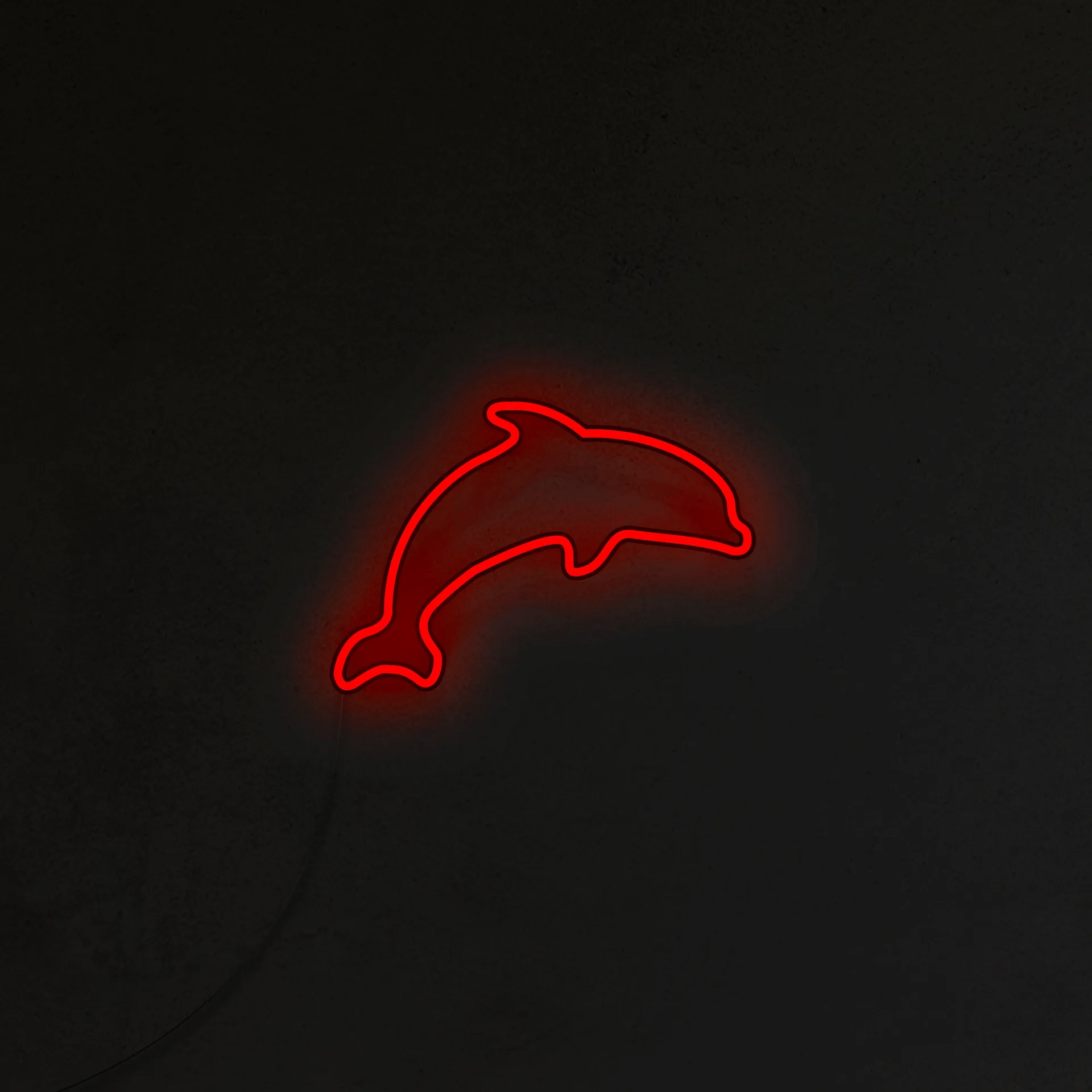 Delfin Neon LED