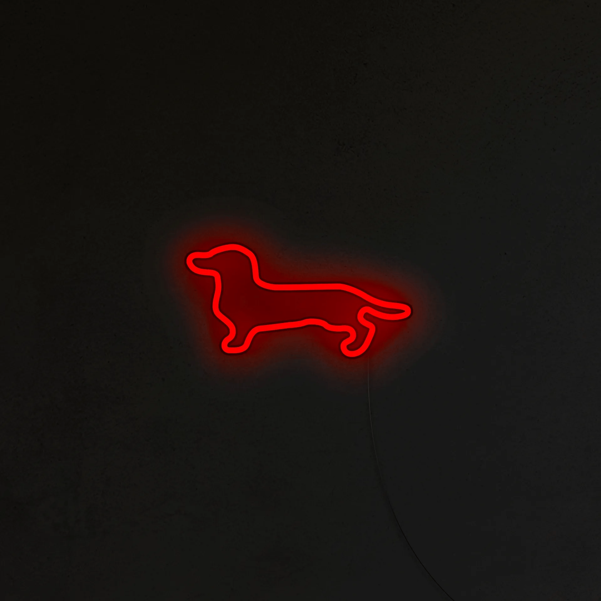 Jamnik Neon LED