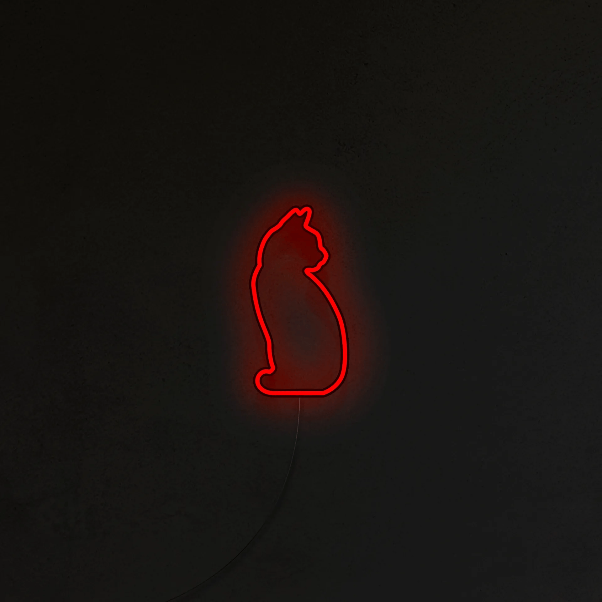 Kotek Neon LED