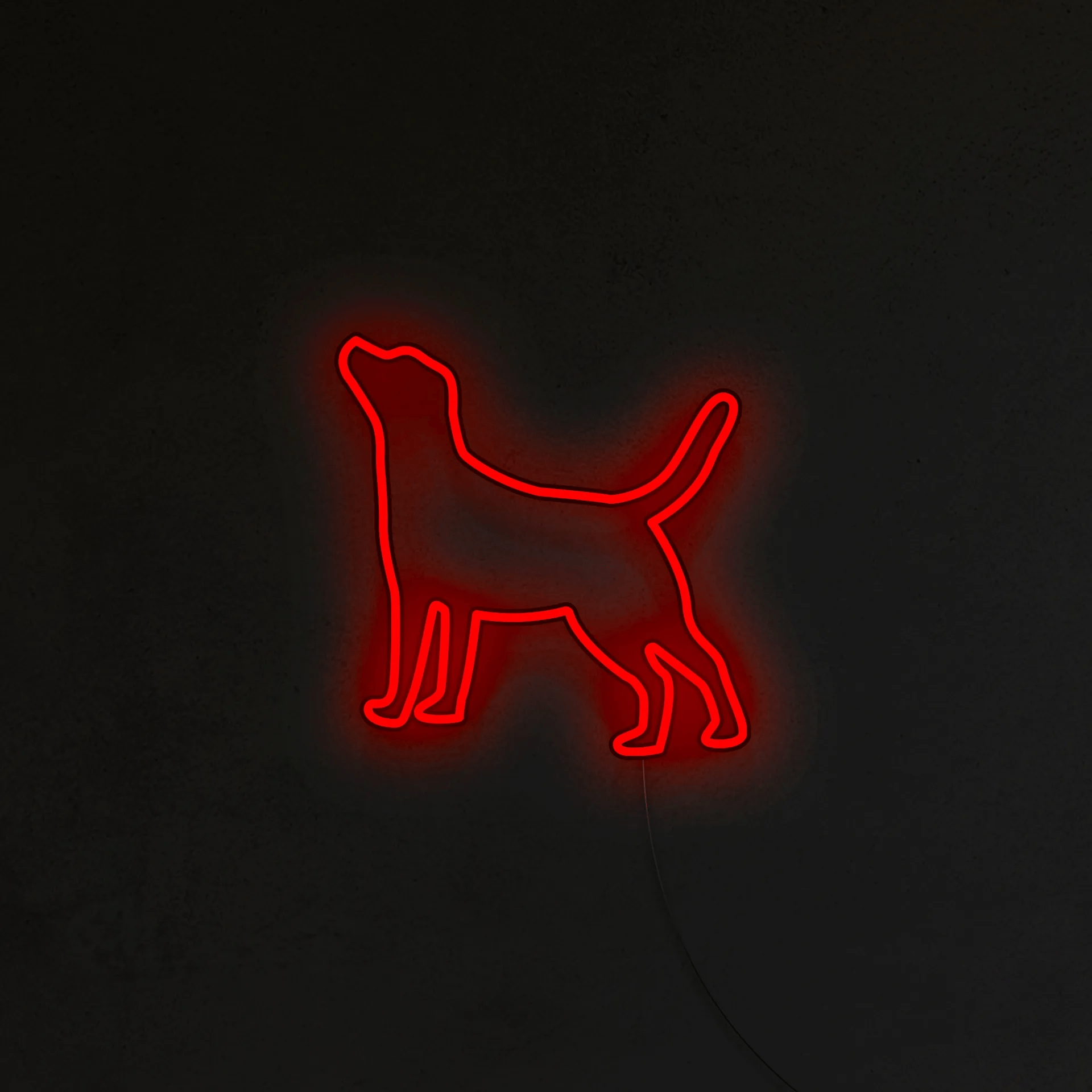 Labrador Neon LED