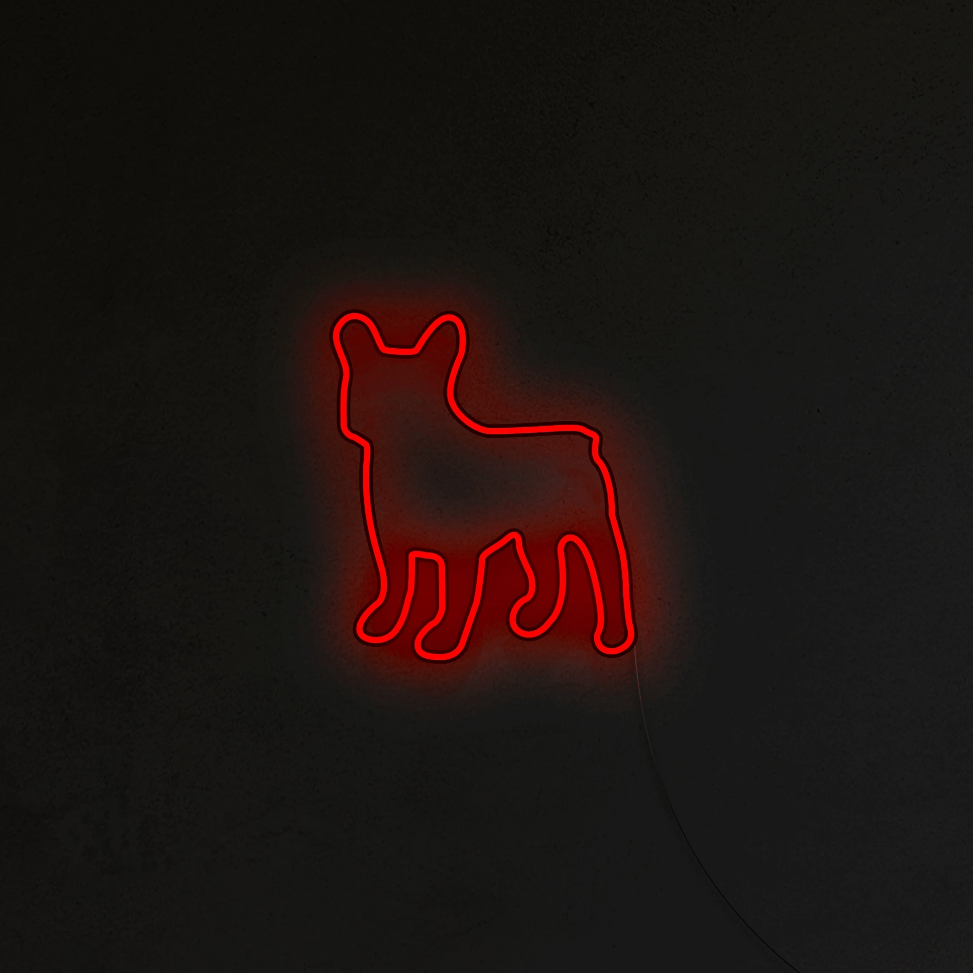 Buldog Francuski Neon LED