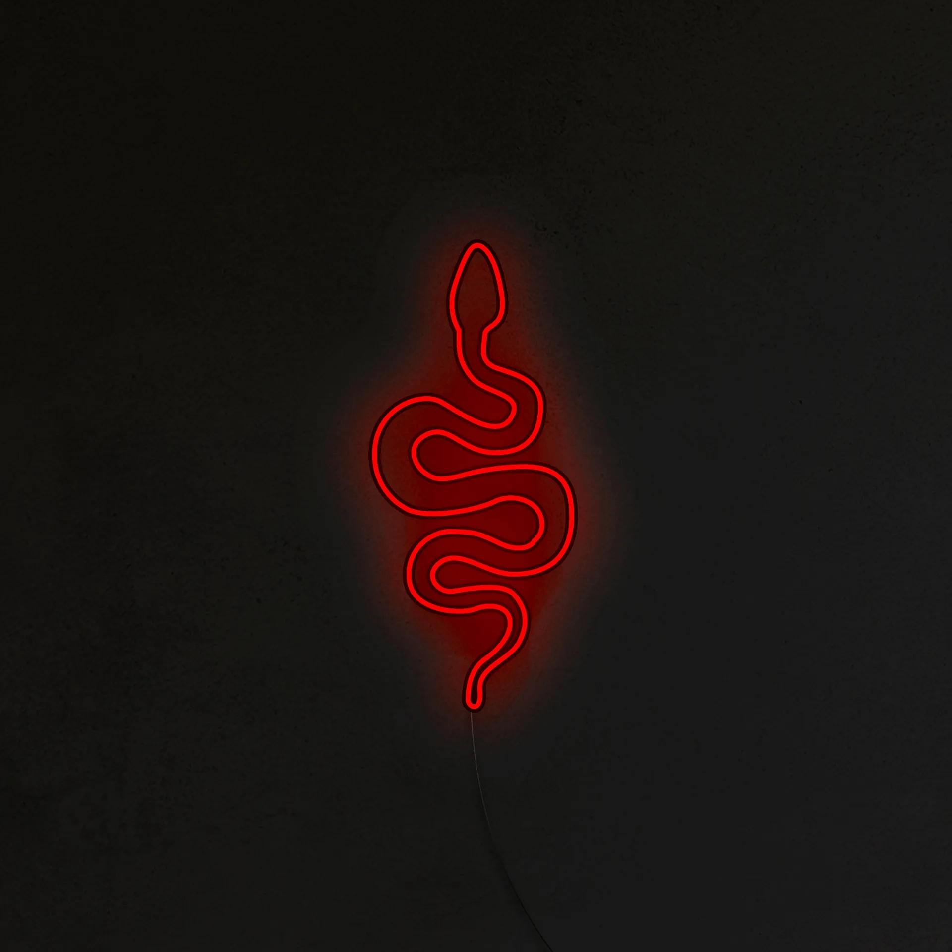Wąż Neon LED