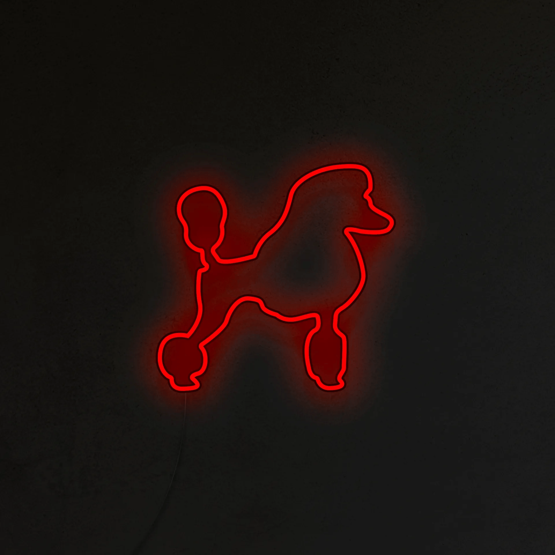 Pudel Neon LED