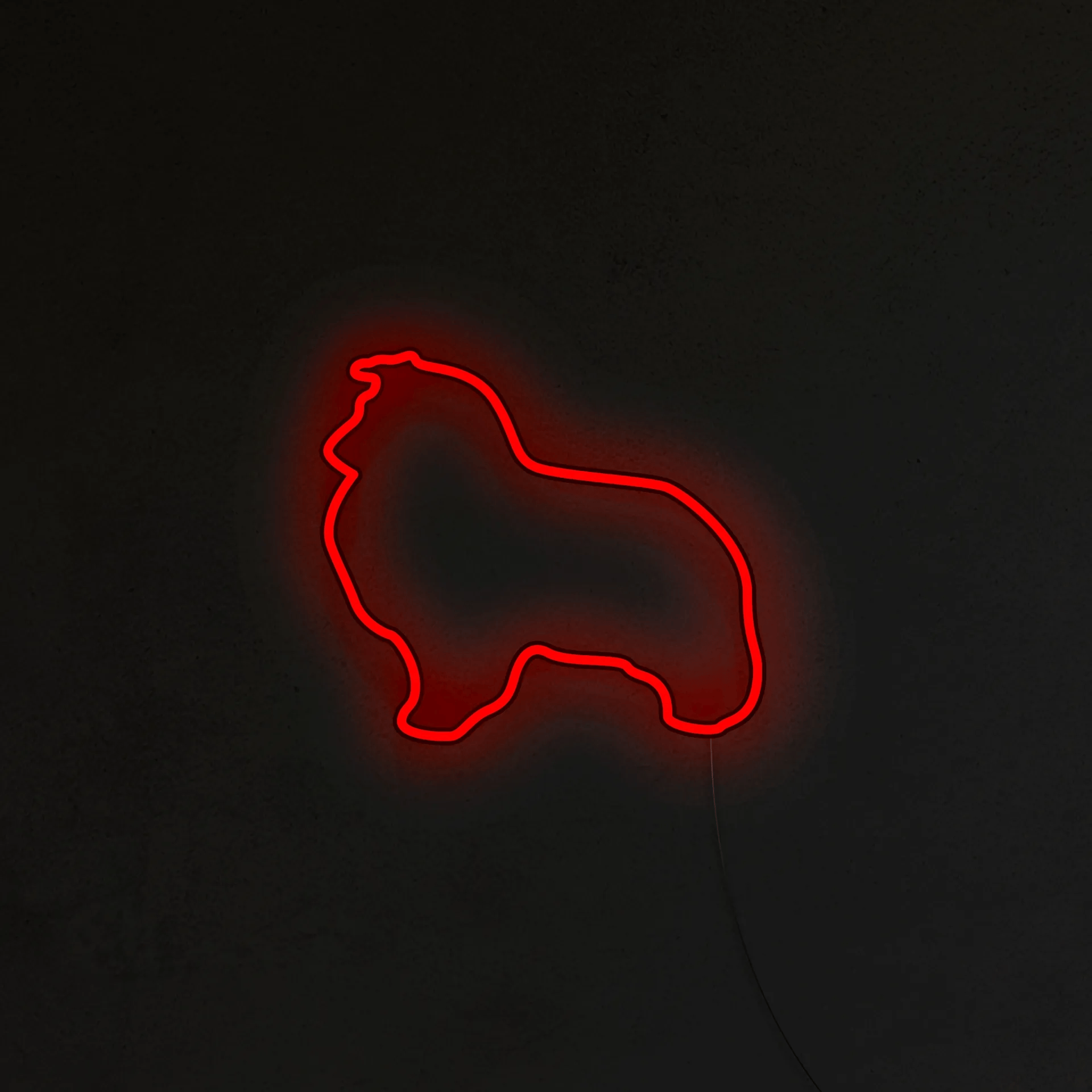Sheltie Neon LED
