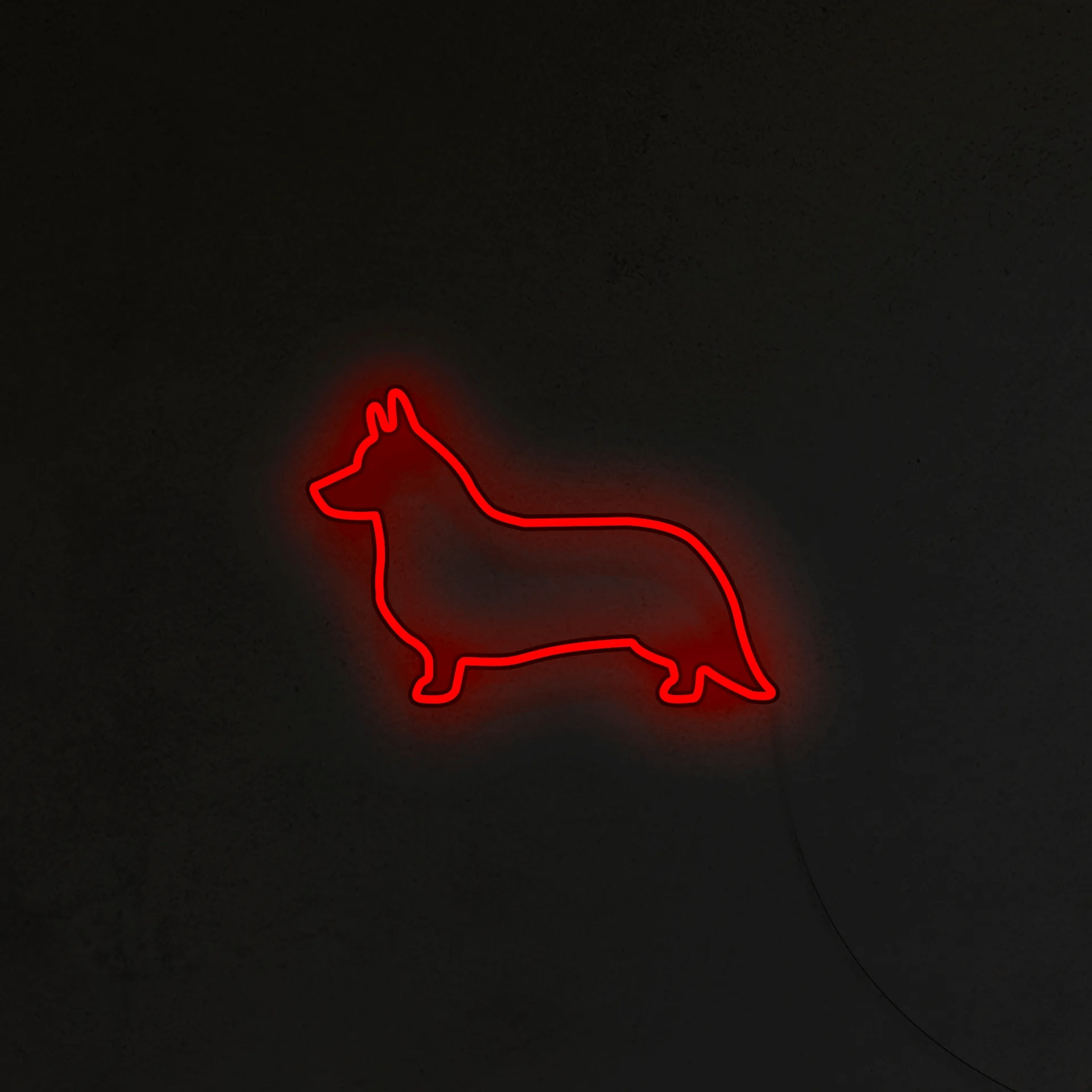 Corgi Neon LED