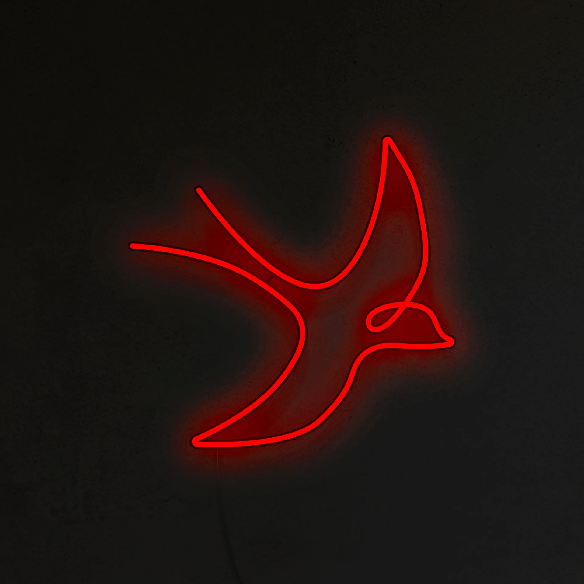 Jaskółka Neon LED