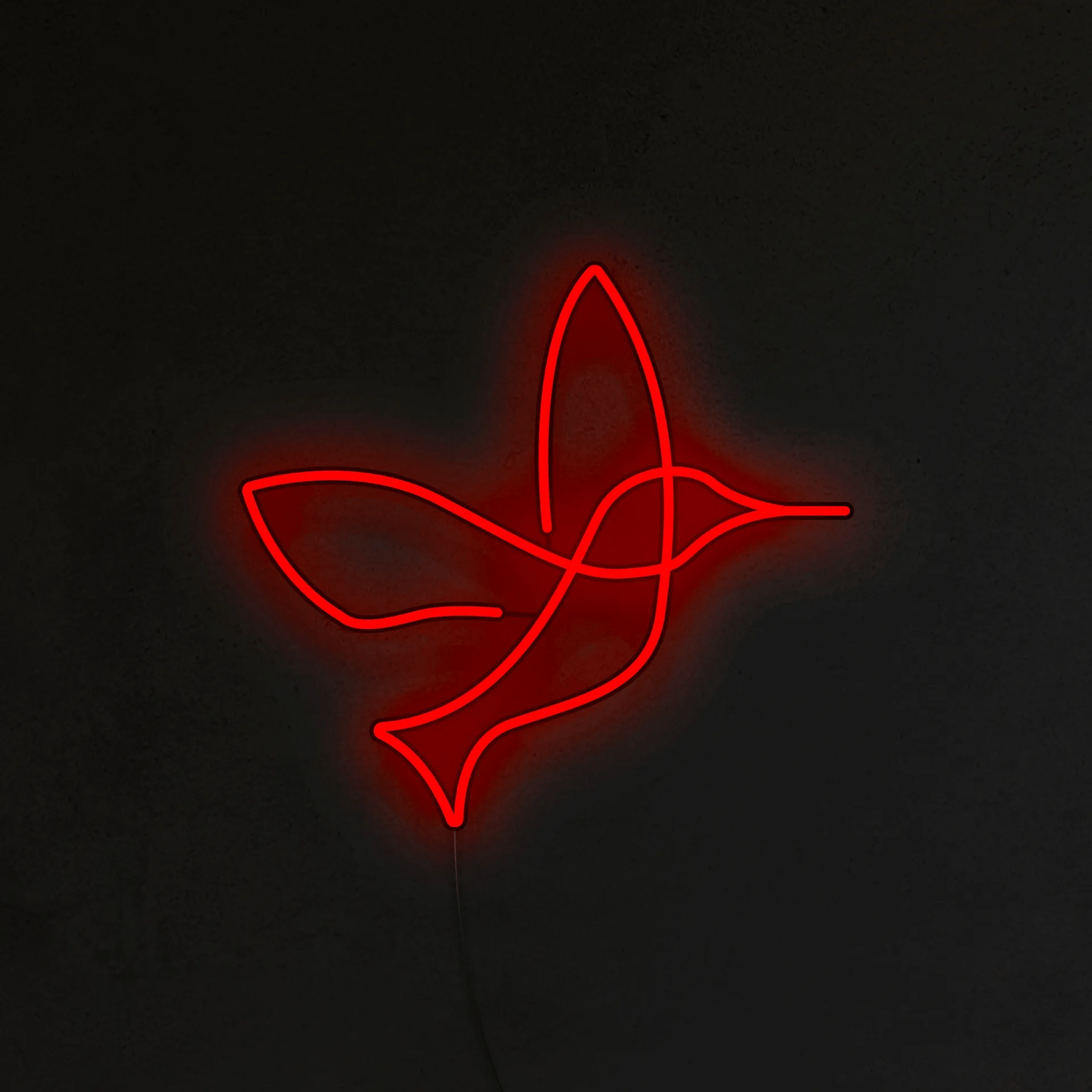 Koliber Neon LED