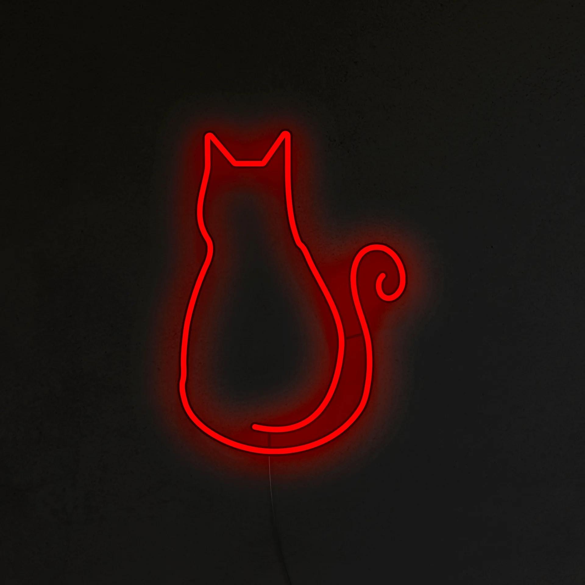 Kotek Neon LED