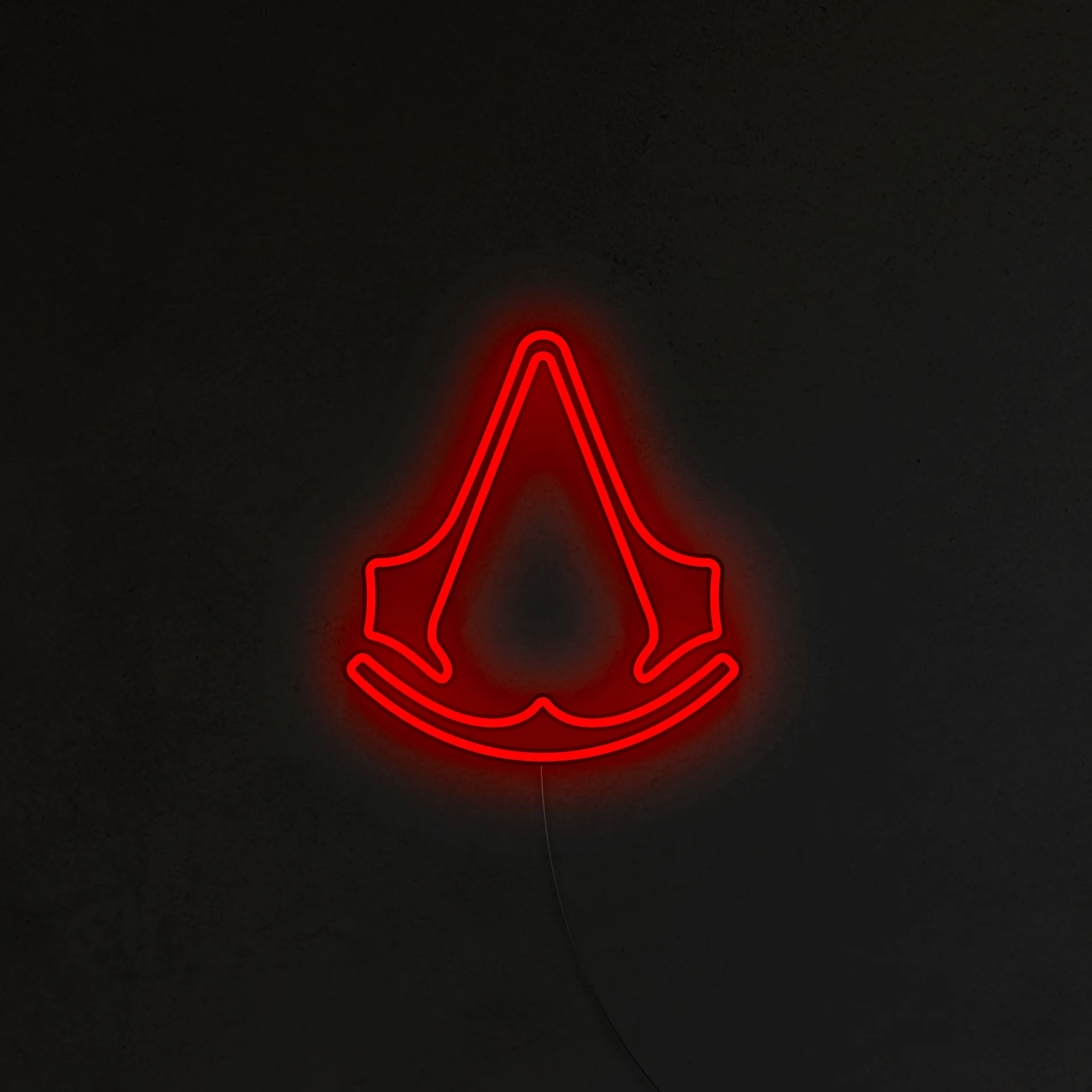 Assassin's Neon LED