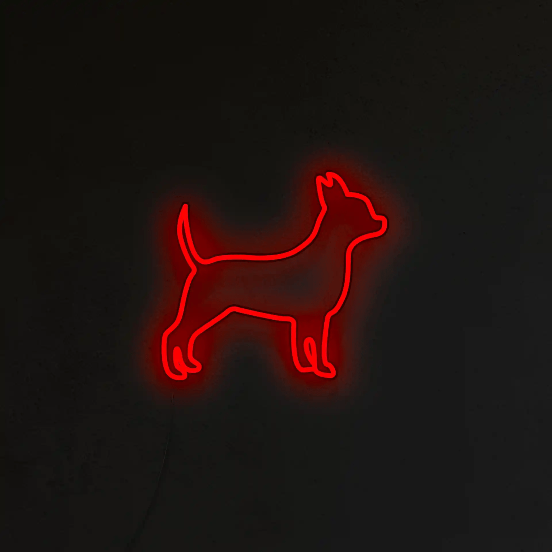 Chihuahua Neon LED