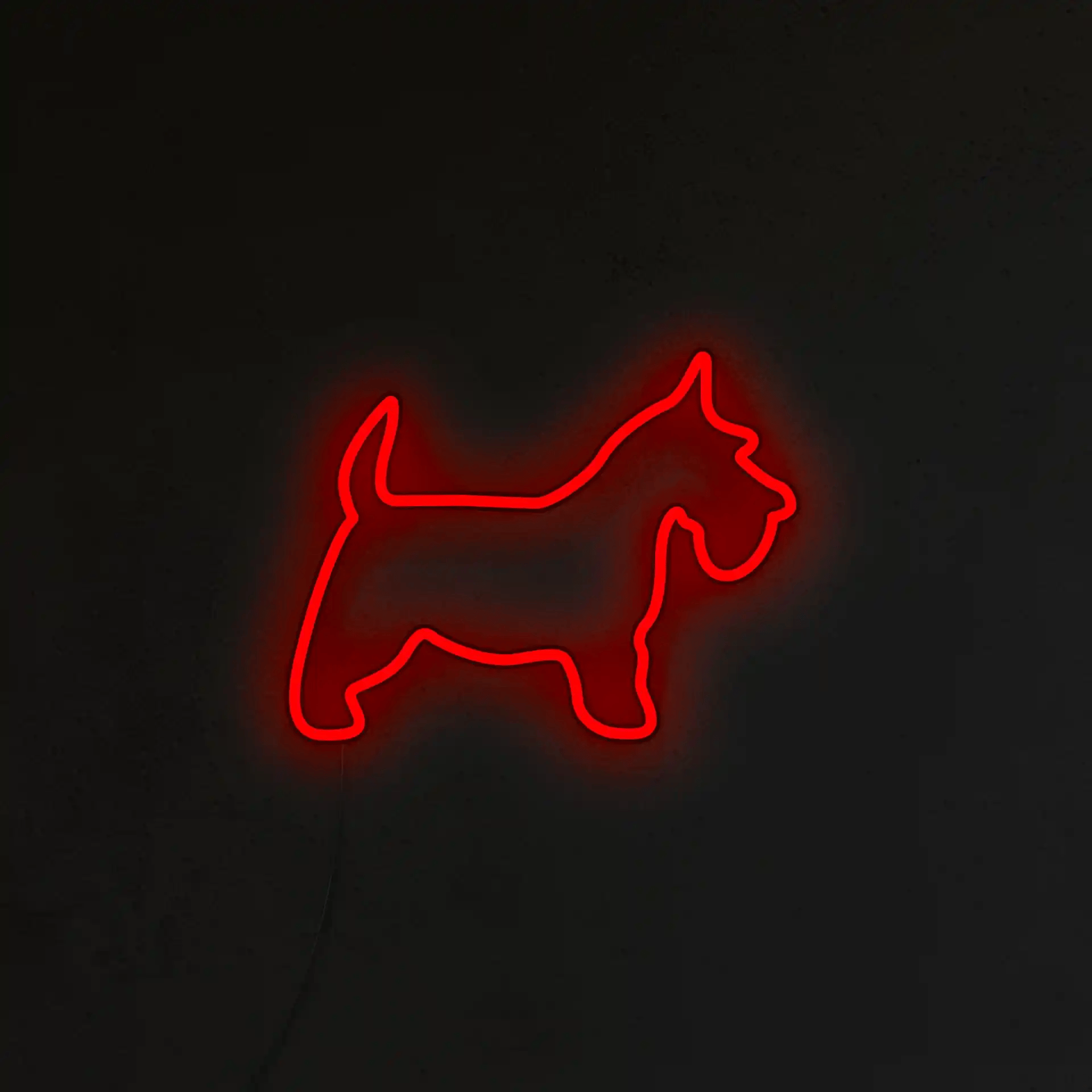 Schnauzer Neon LED
