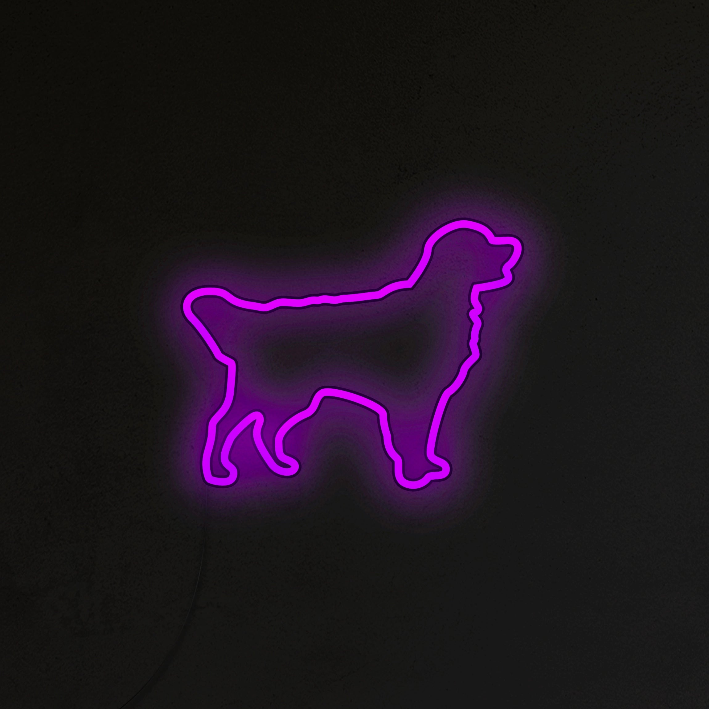 Golden Retriever Neon LED