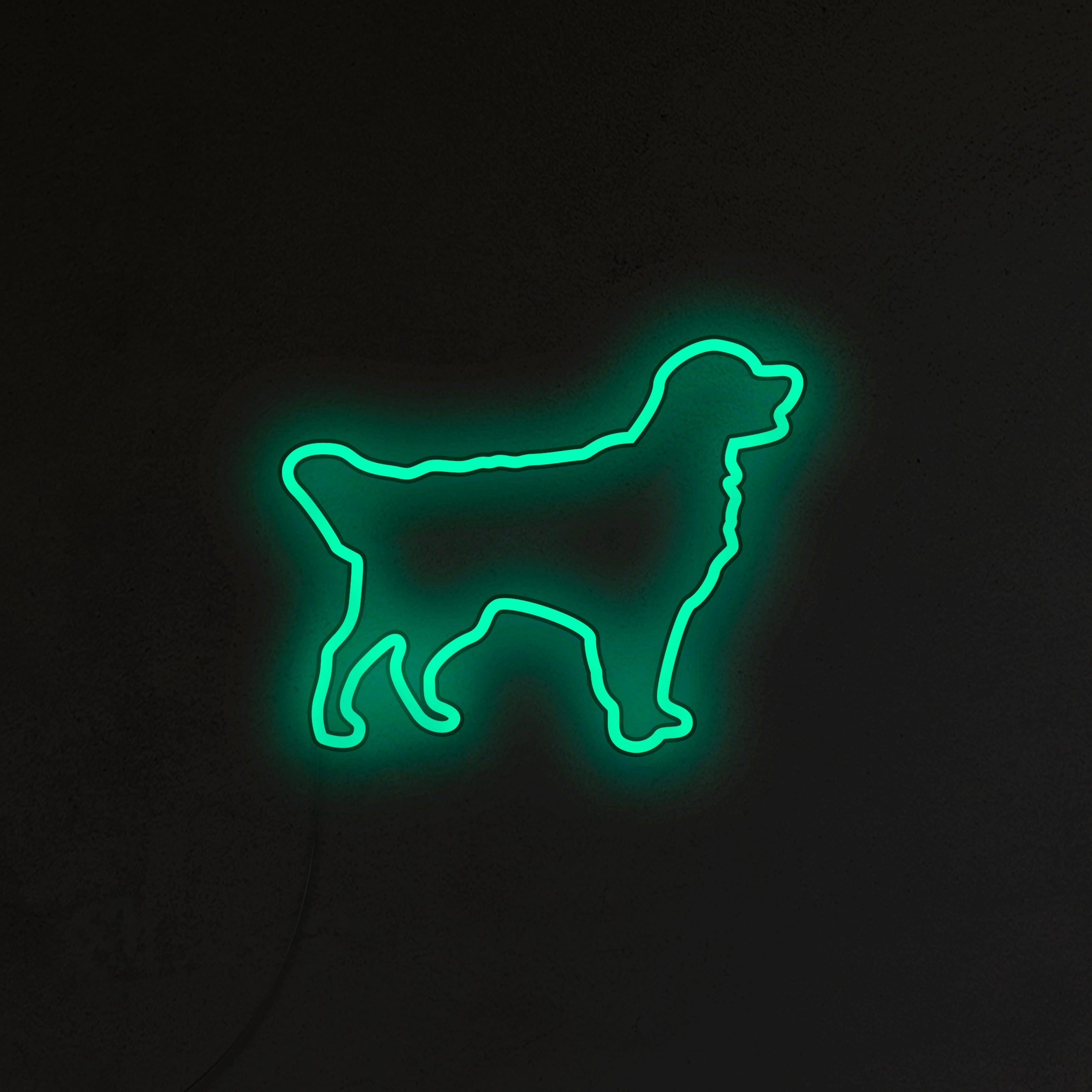Golden Retriever Neon LED