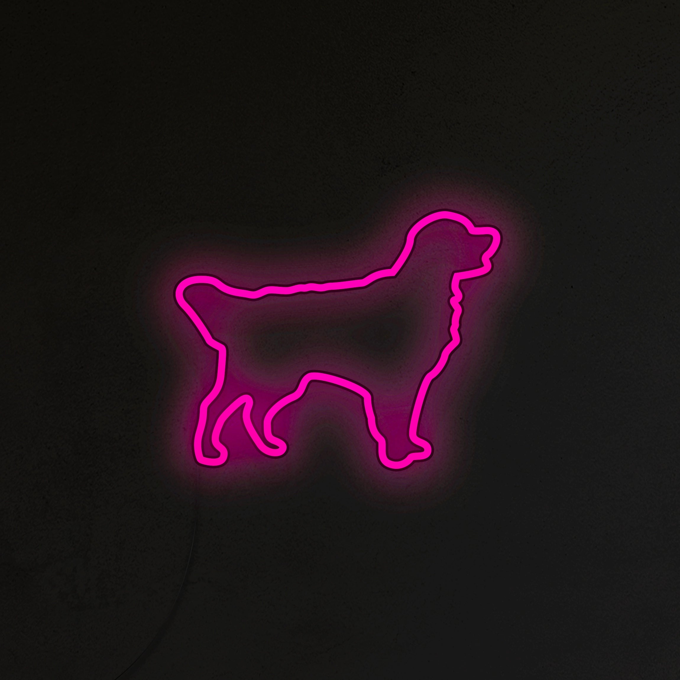 Golden Retriever Neon LED