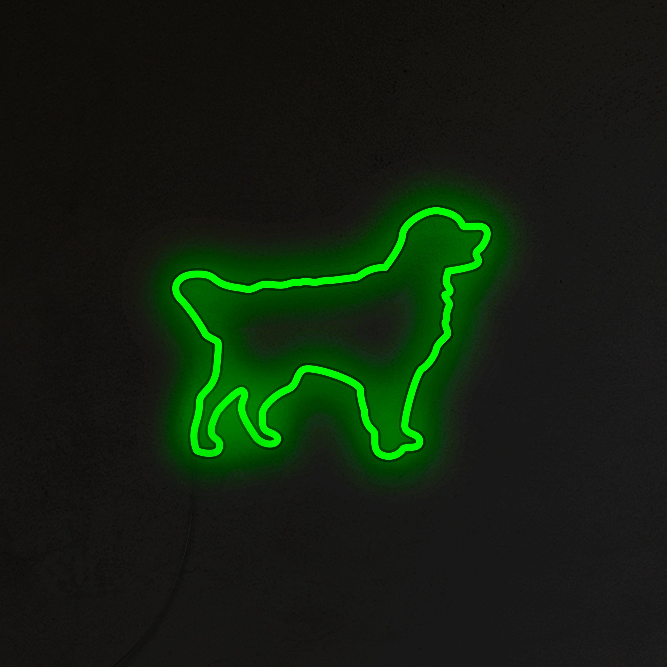 Golden Retriever Neon LED