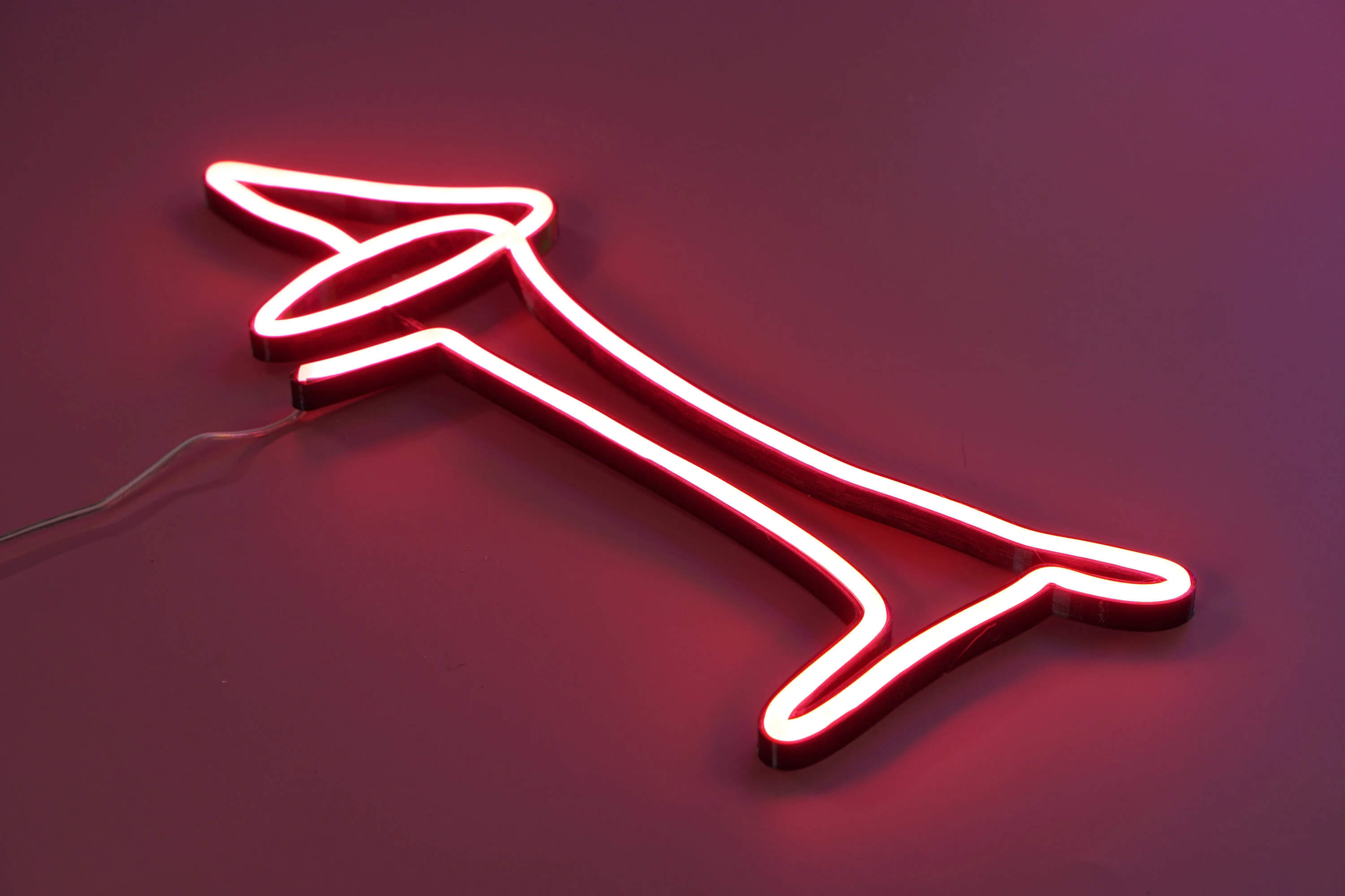 Jamnik Picasso Neon LED