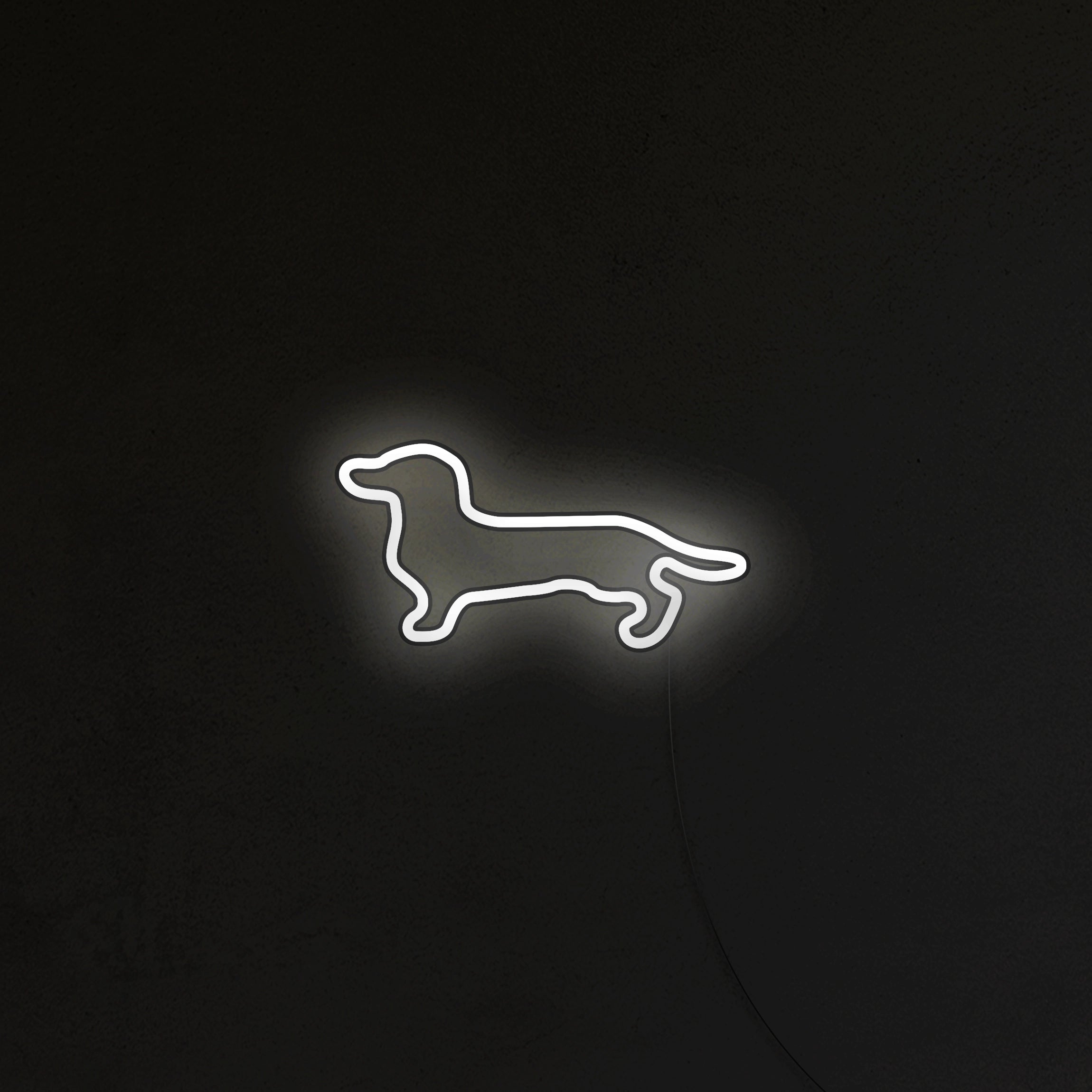 Jamnik Neon LED