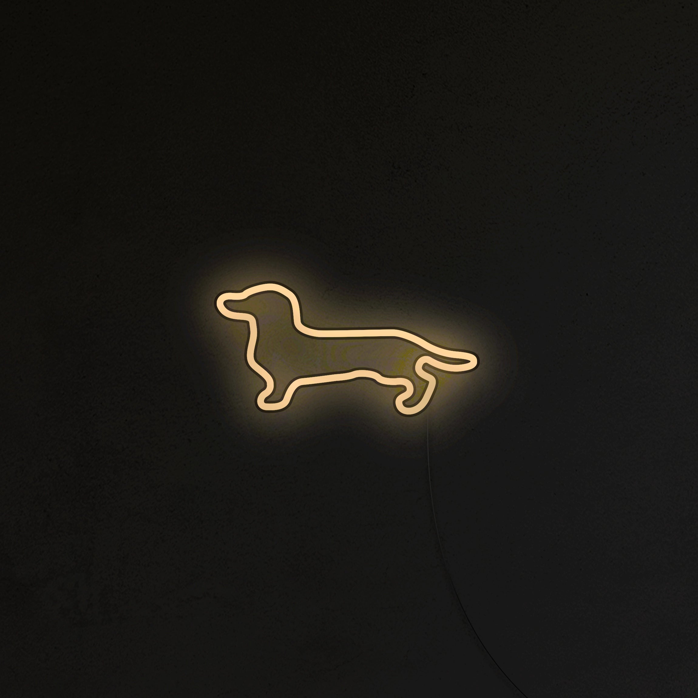 Jamnik Neon LED