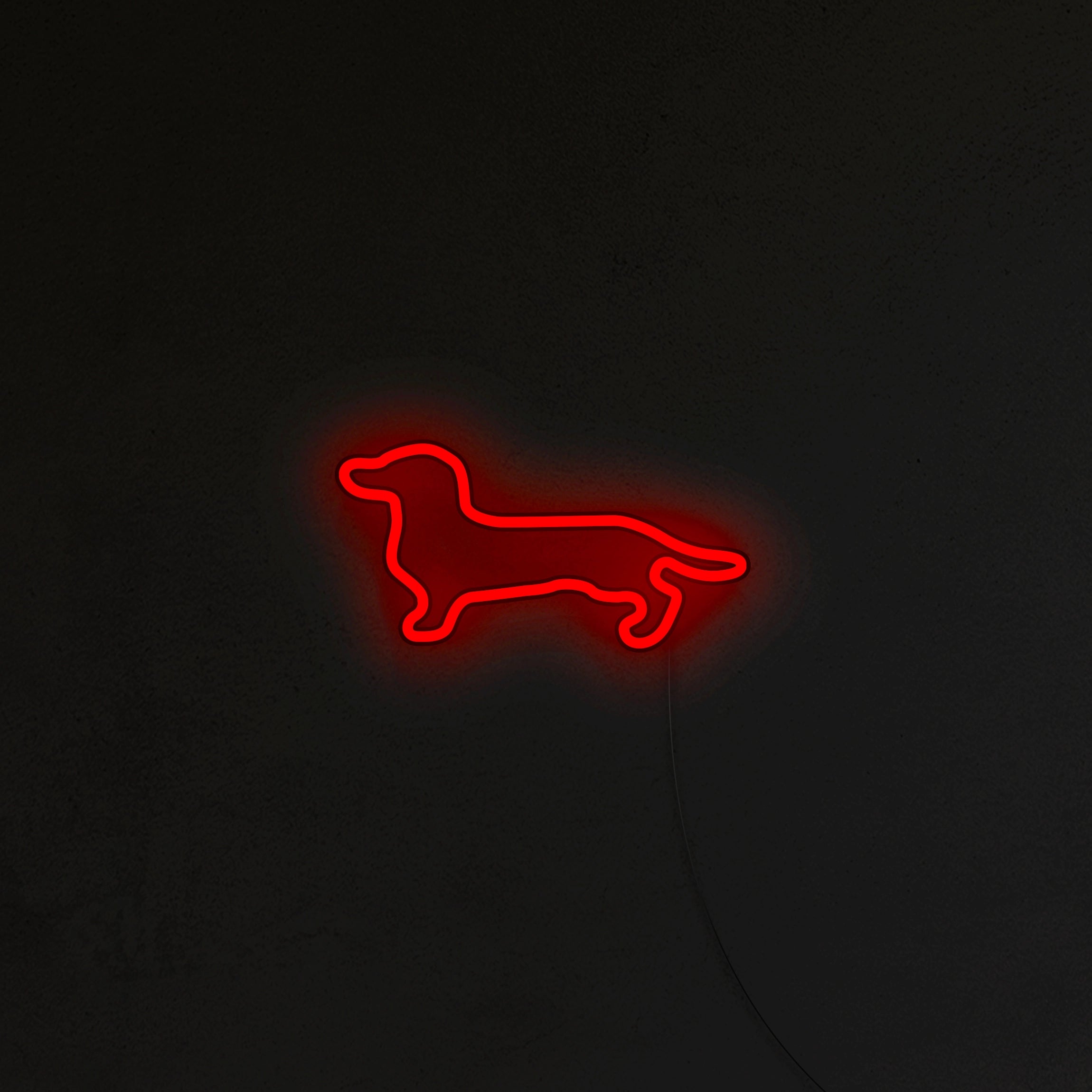 Jamnik Neon LED