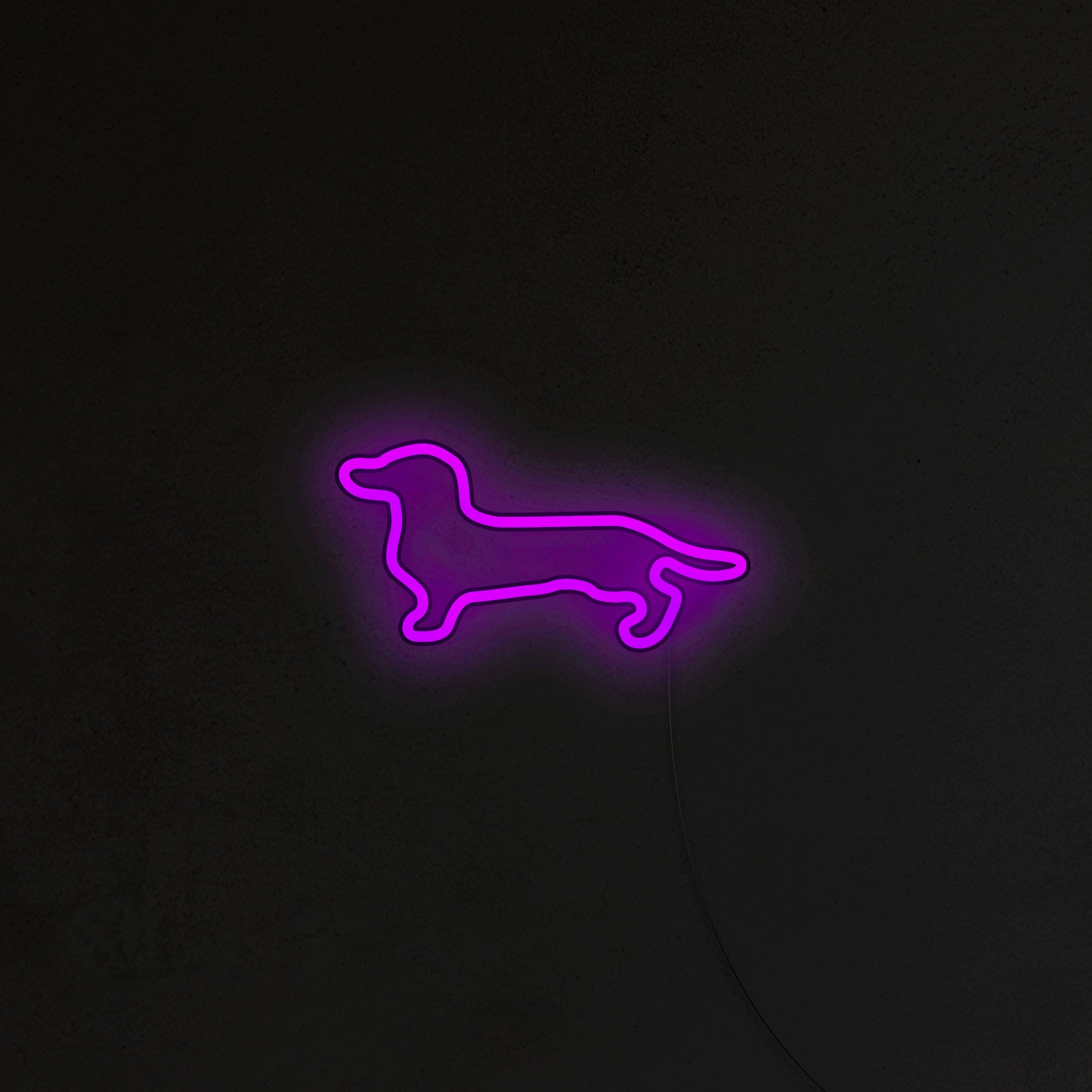 Jamnik Neon LED