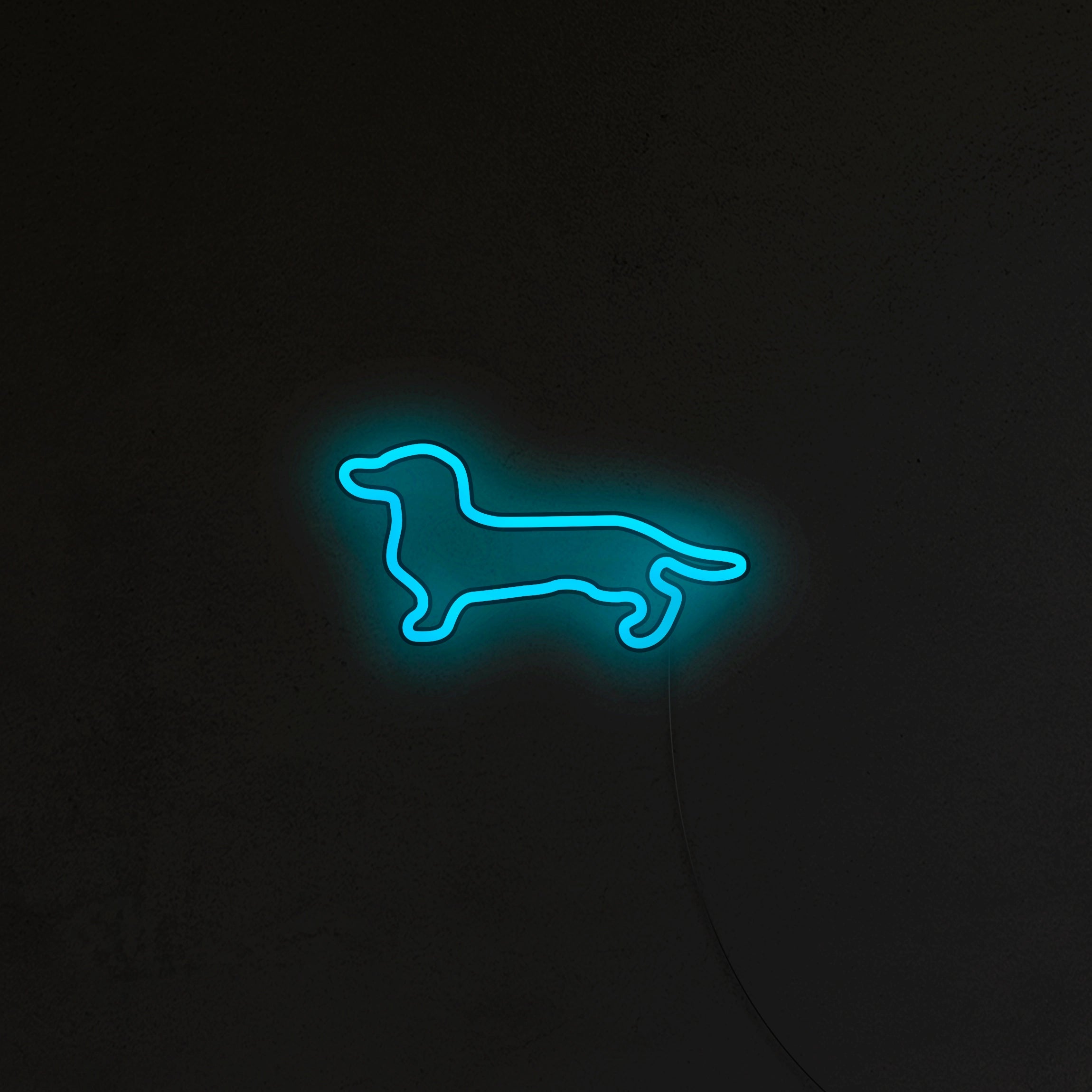 Jamnik Neon LED