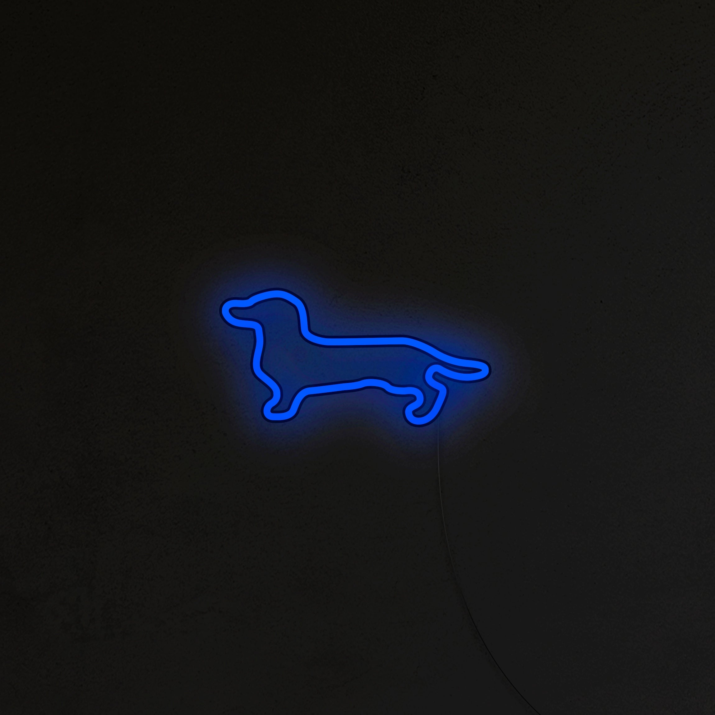 Jamnik Neon LED