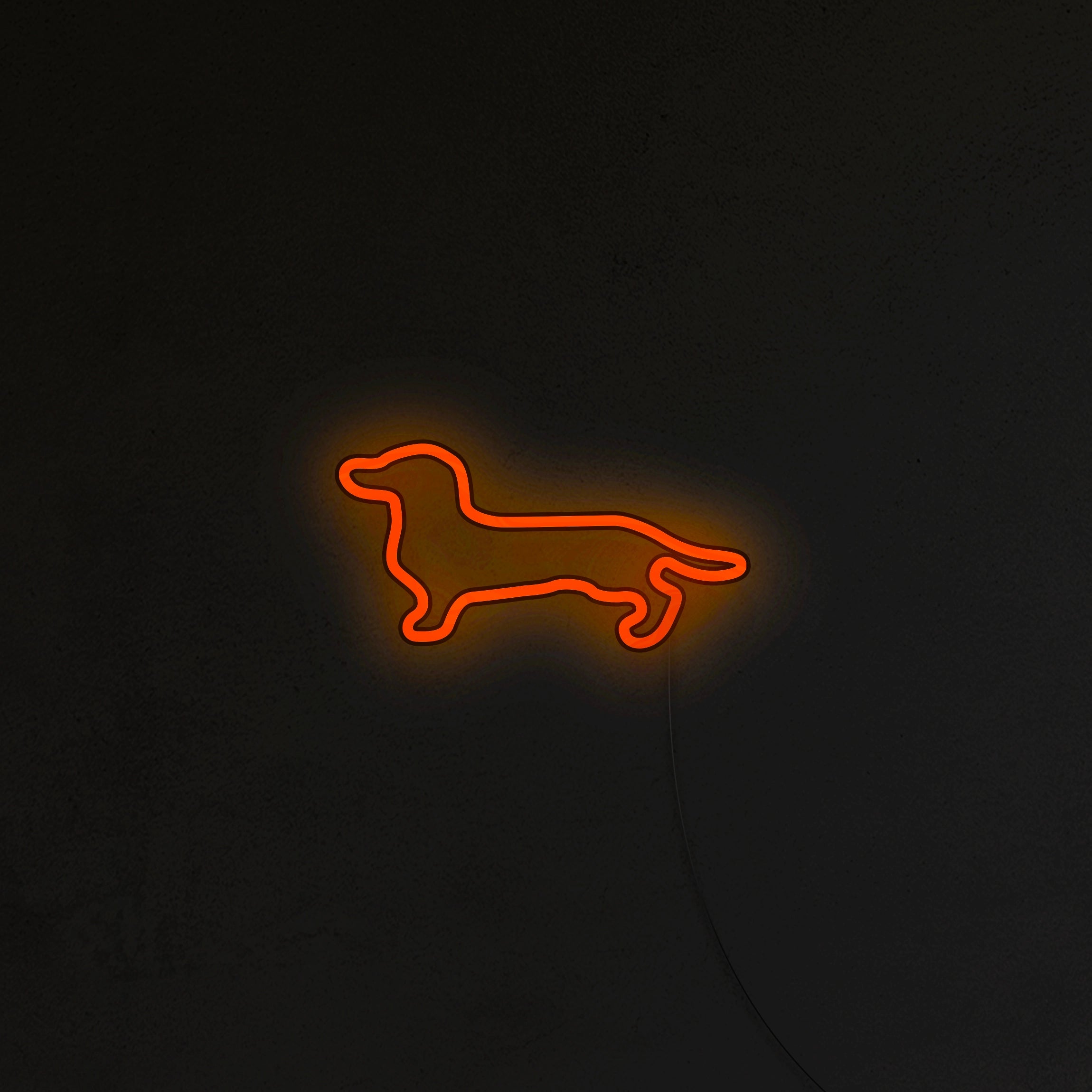 Jamnik Neon LED