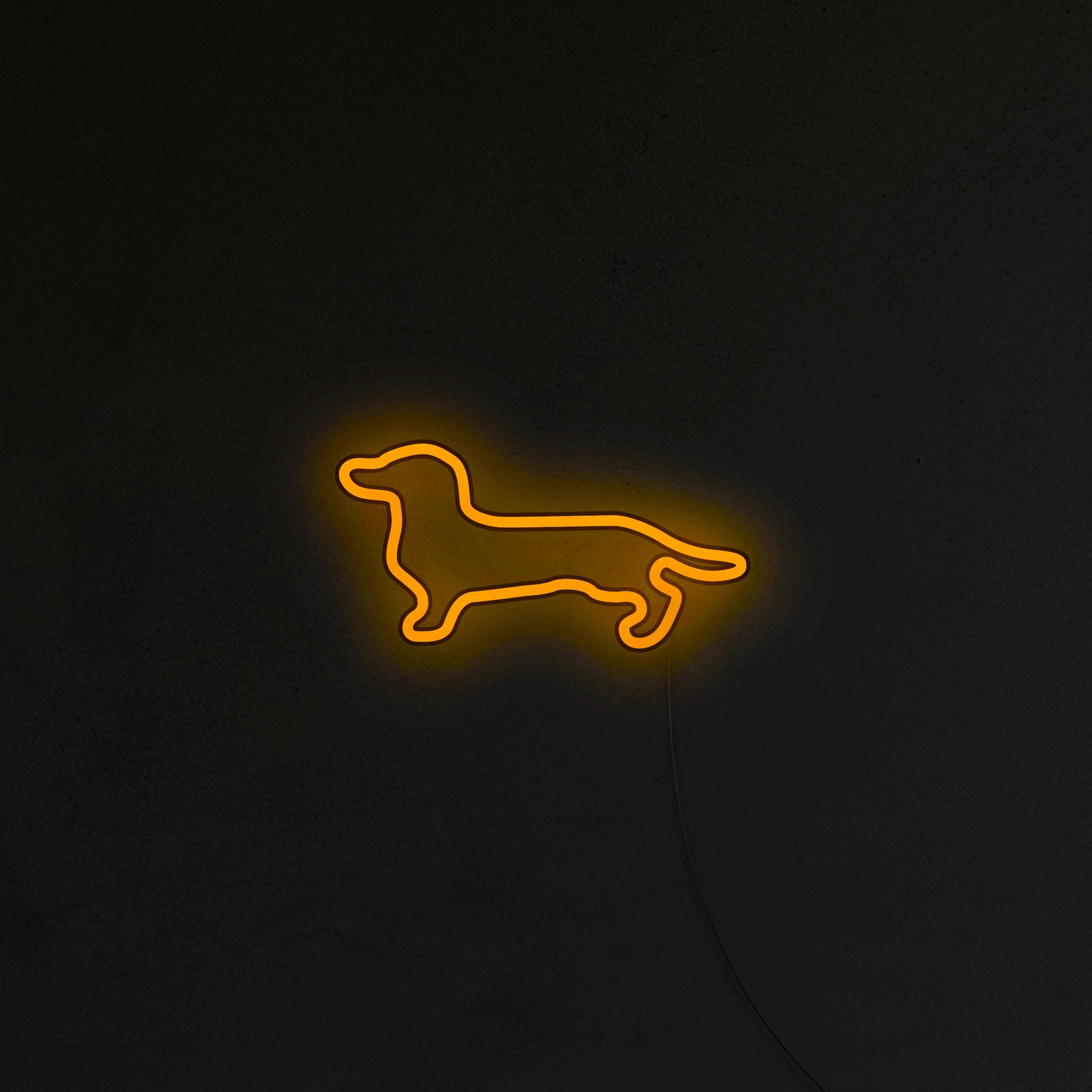 Jamnik Neon LED