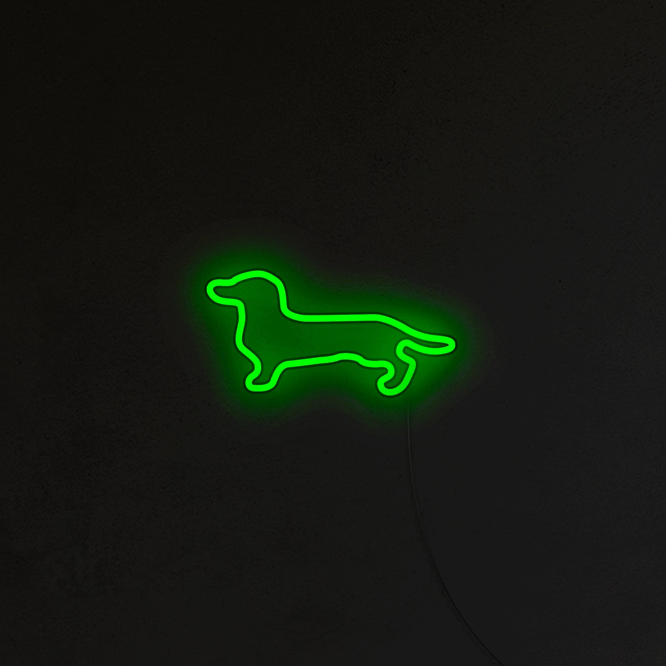 Jamnik Neon LED