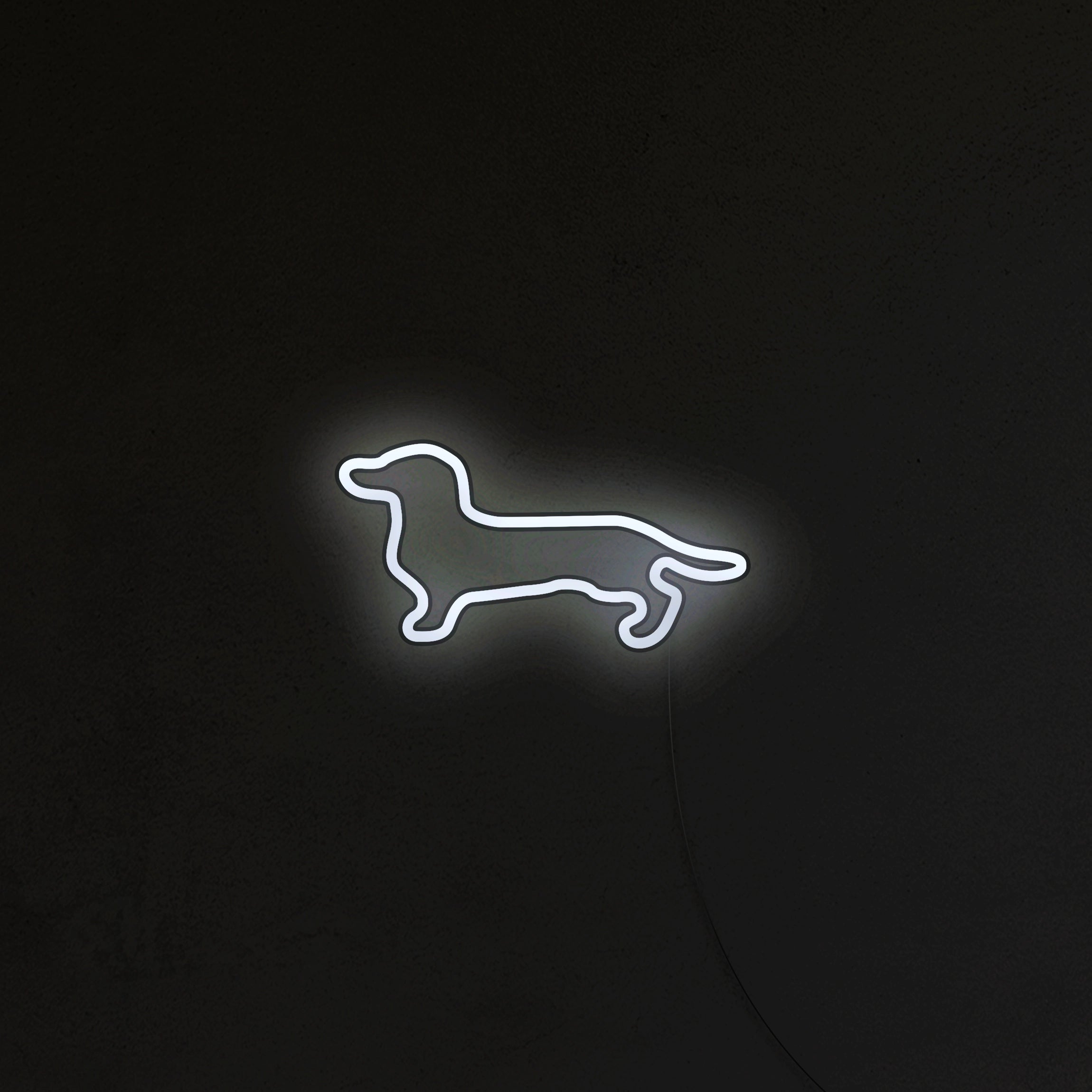 Jamnik Neon LED