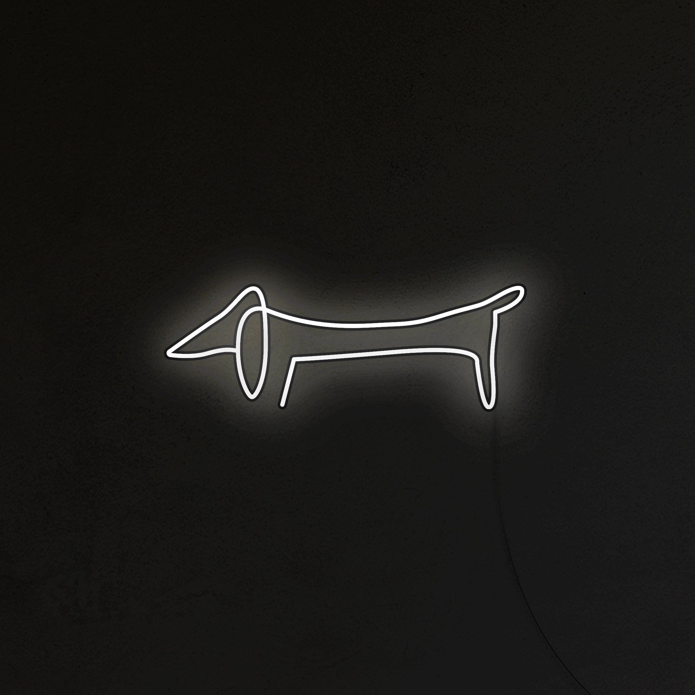 Jamnik Picasso Neon LED