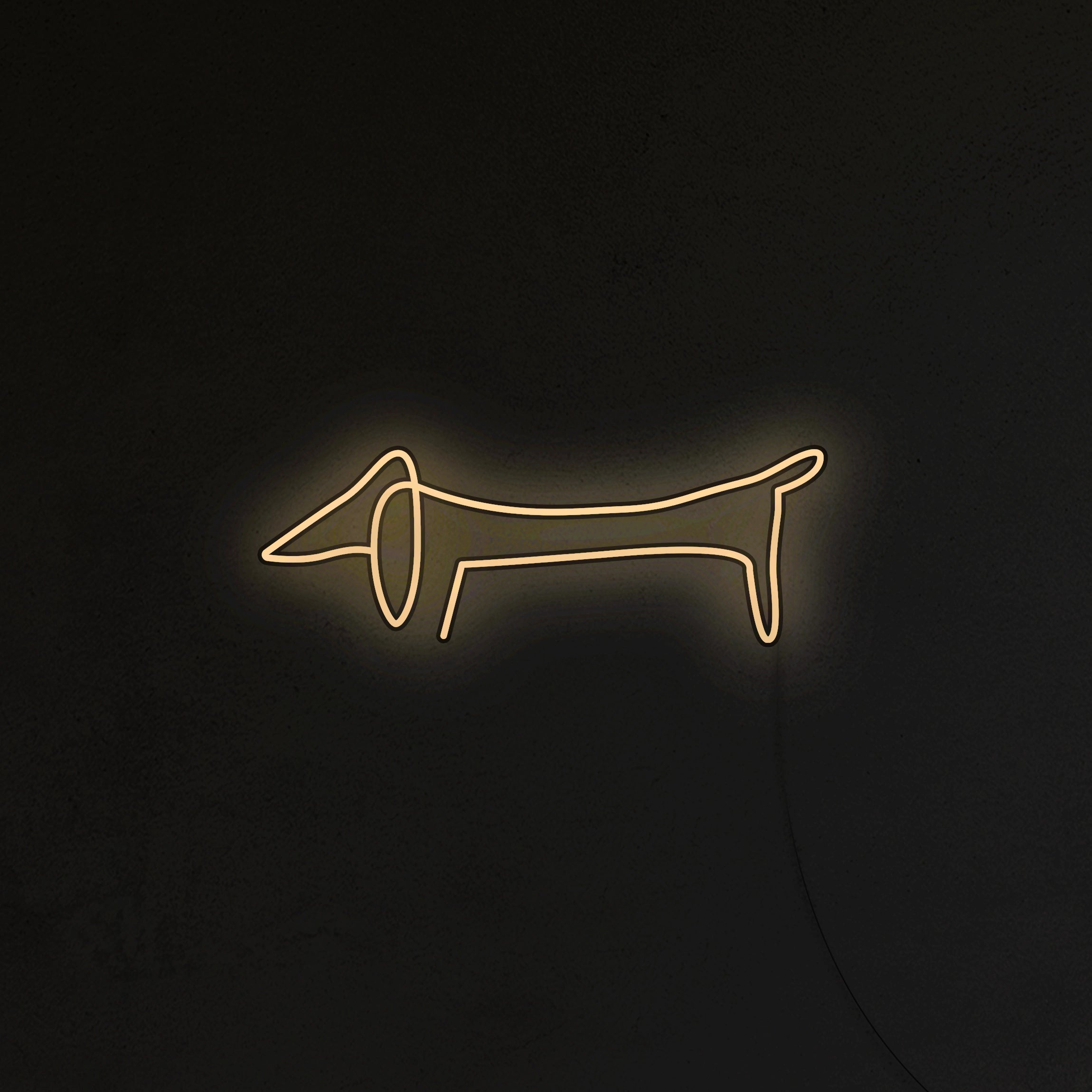 Jamnik Picasso Neon LED