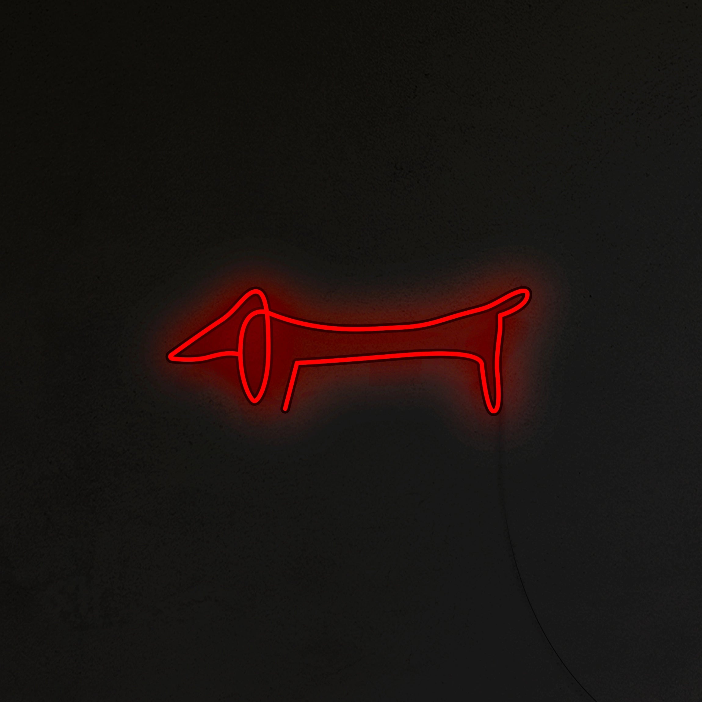 Jamnik Picasso Neon LED