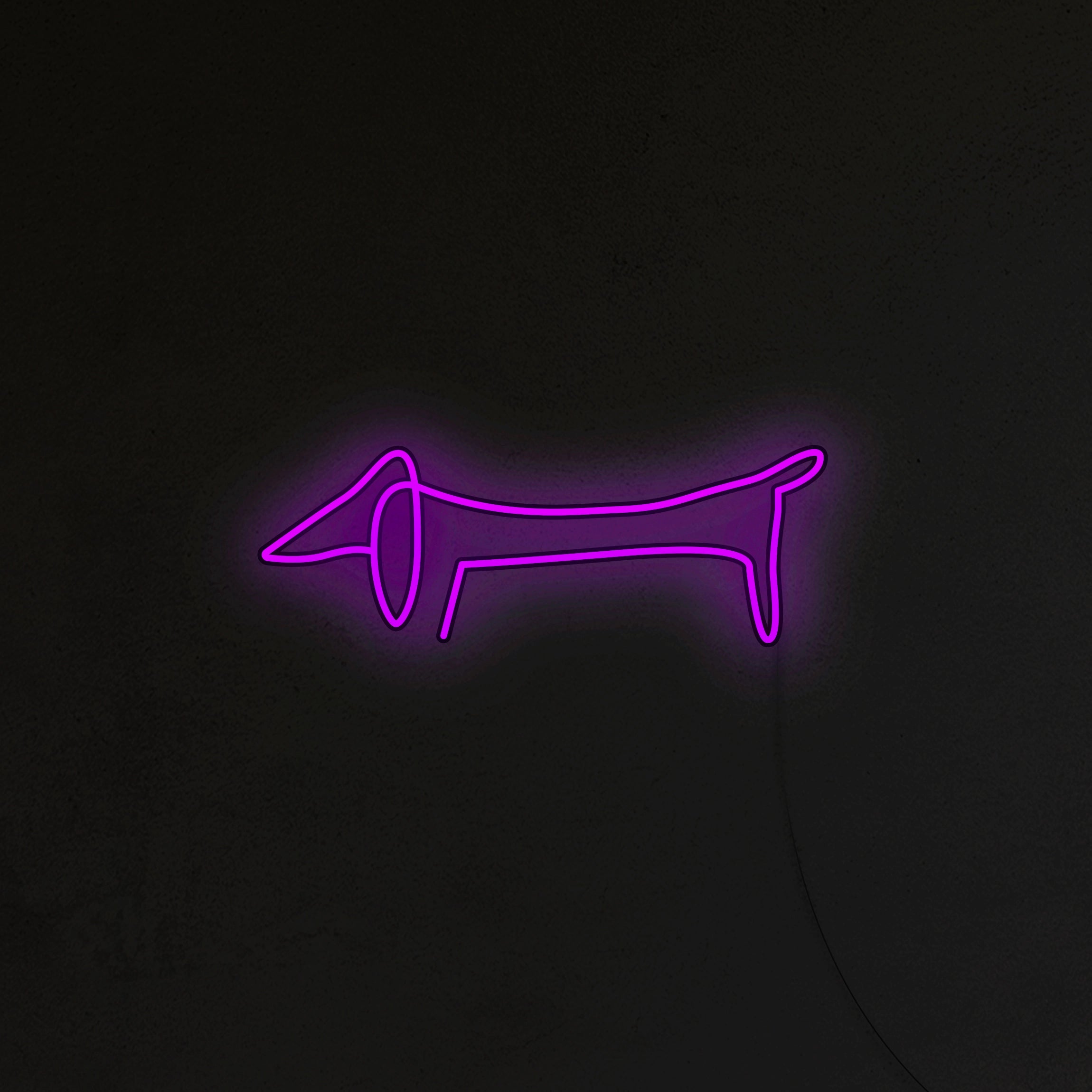 Jamnik Picasso Neon LED