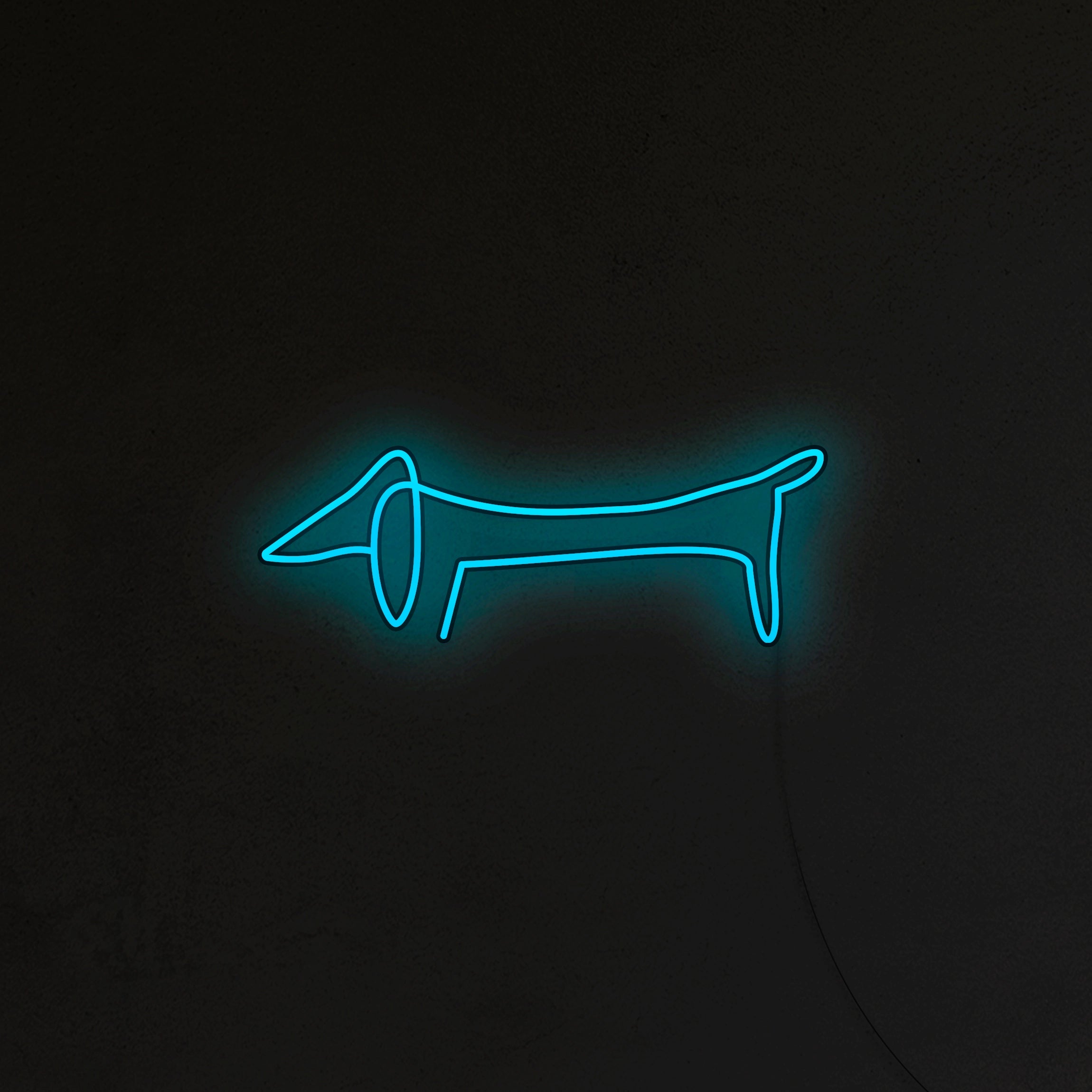 Jamnik Picasso Neon LED
