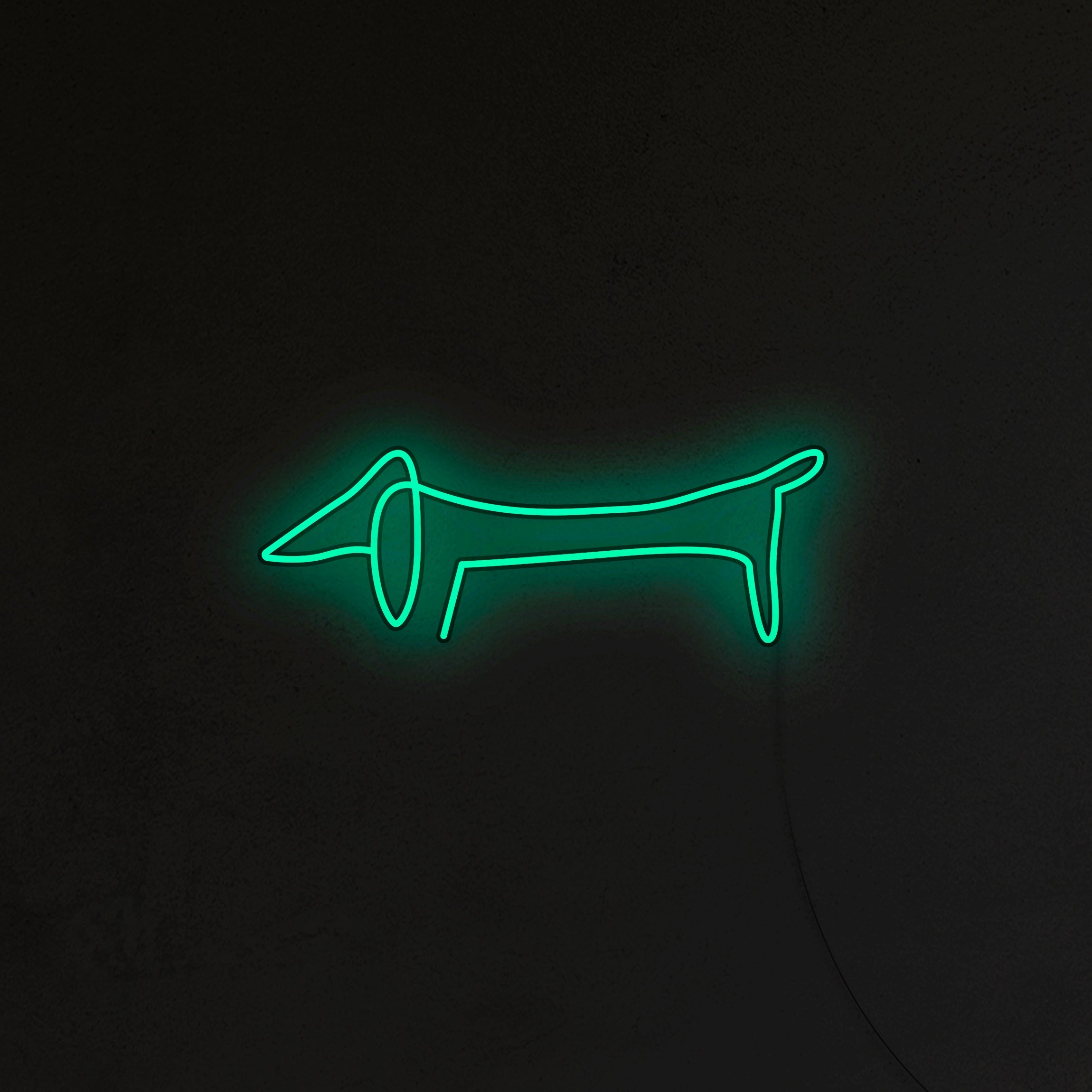 Jamnik Picasso Neon LED