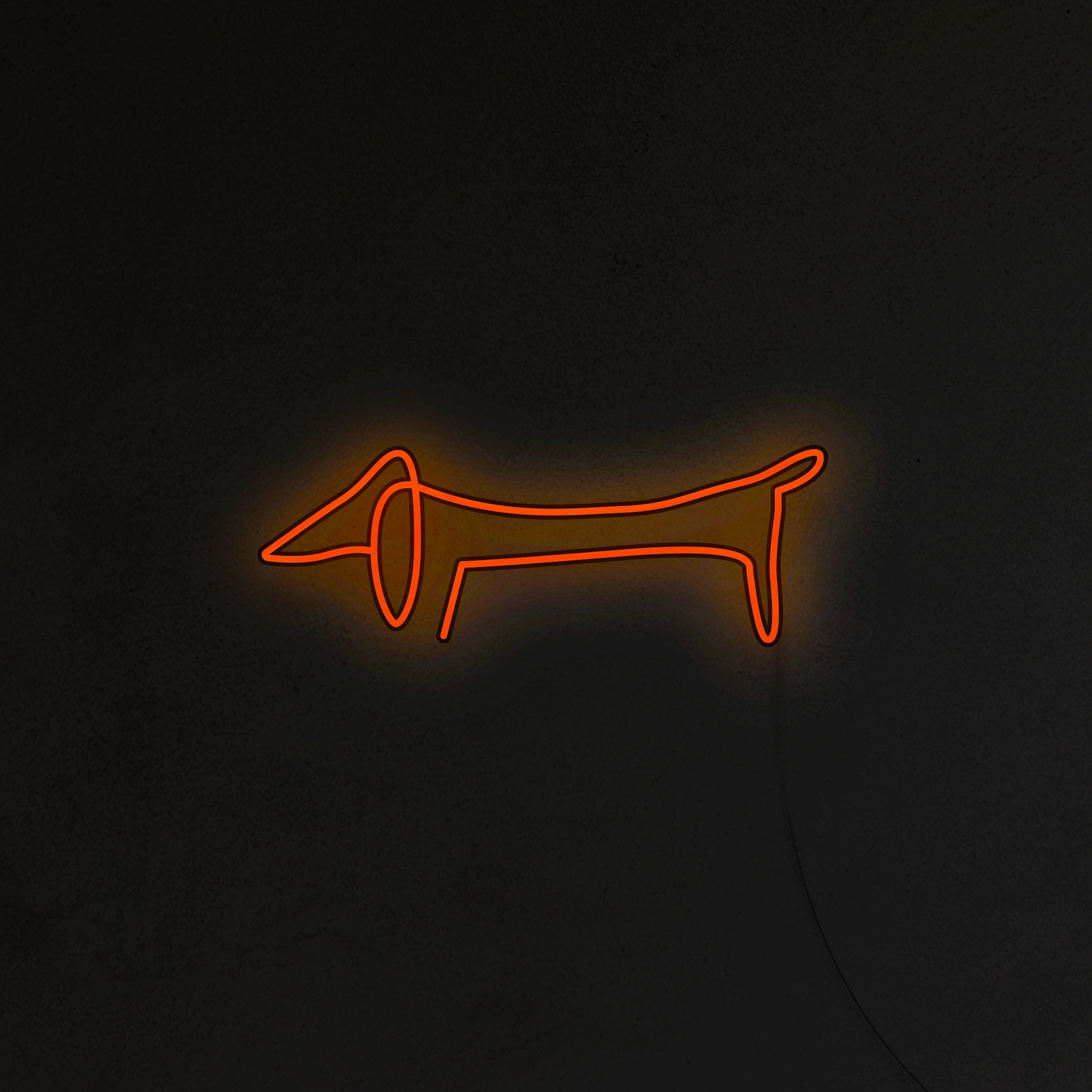 Jamnik Picasso Neon LED