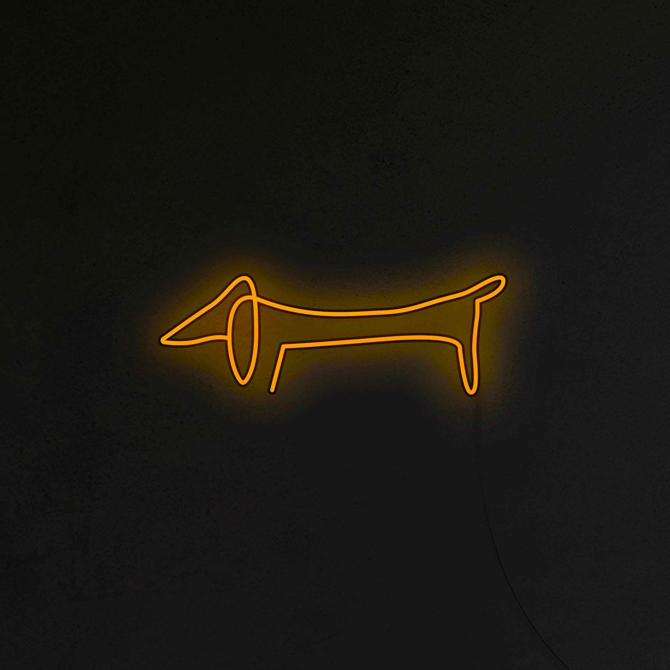 Jamnik Picasso Neon LED