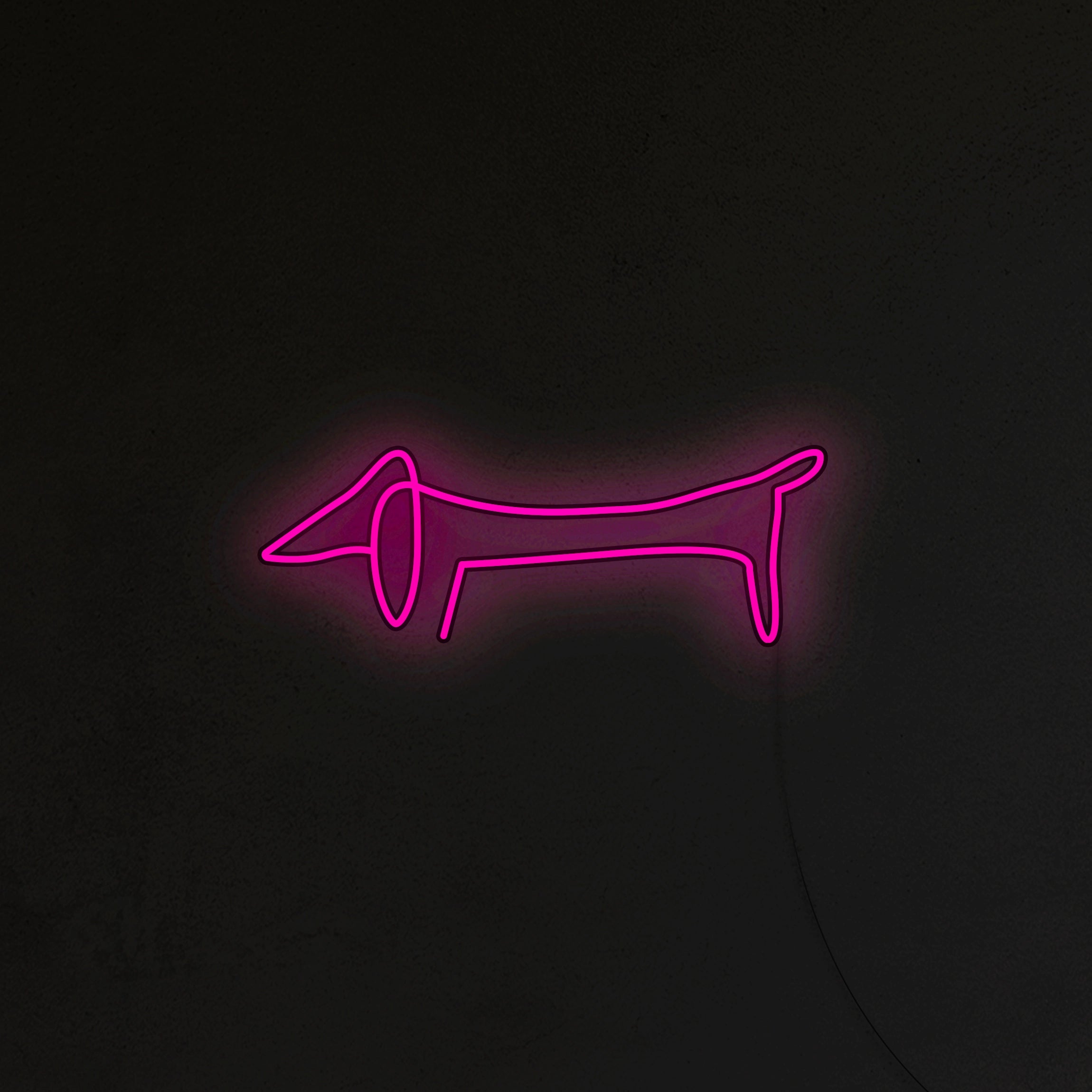 Jamnik Picasso Neon LED