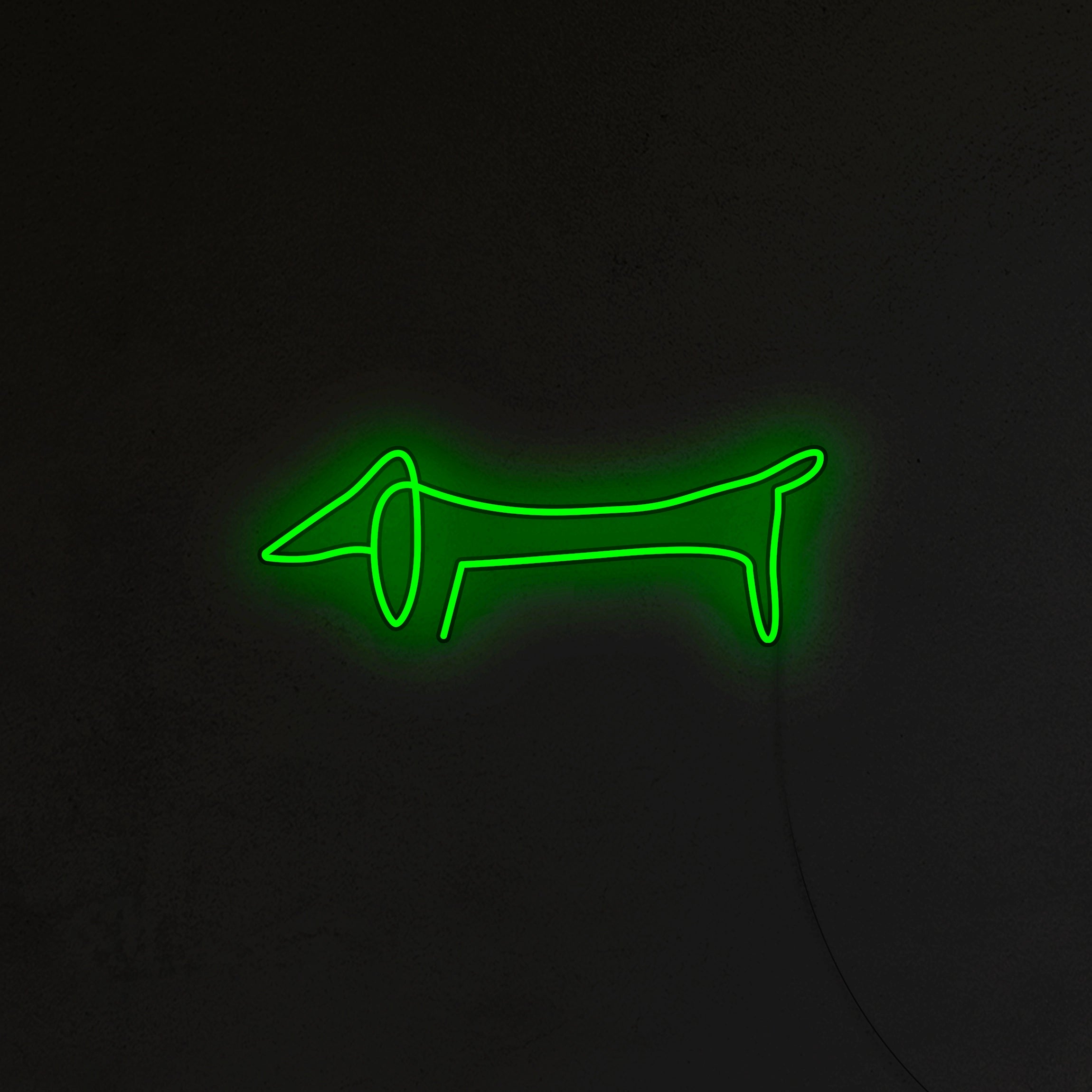 Jamnik Picasso Neon LED