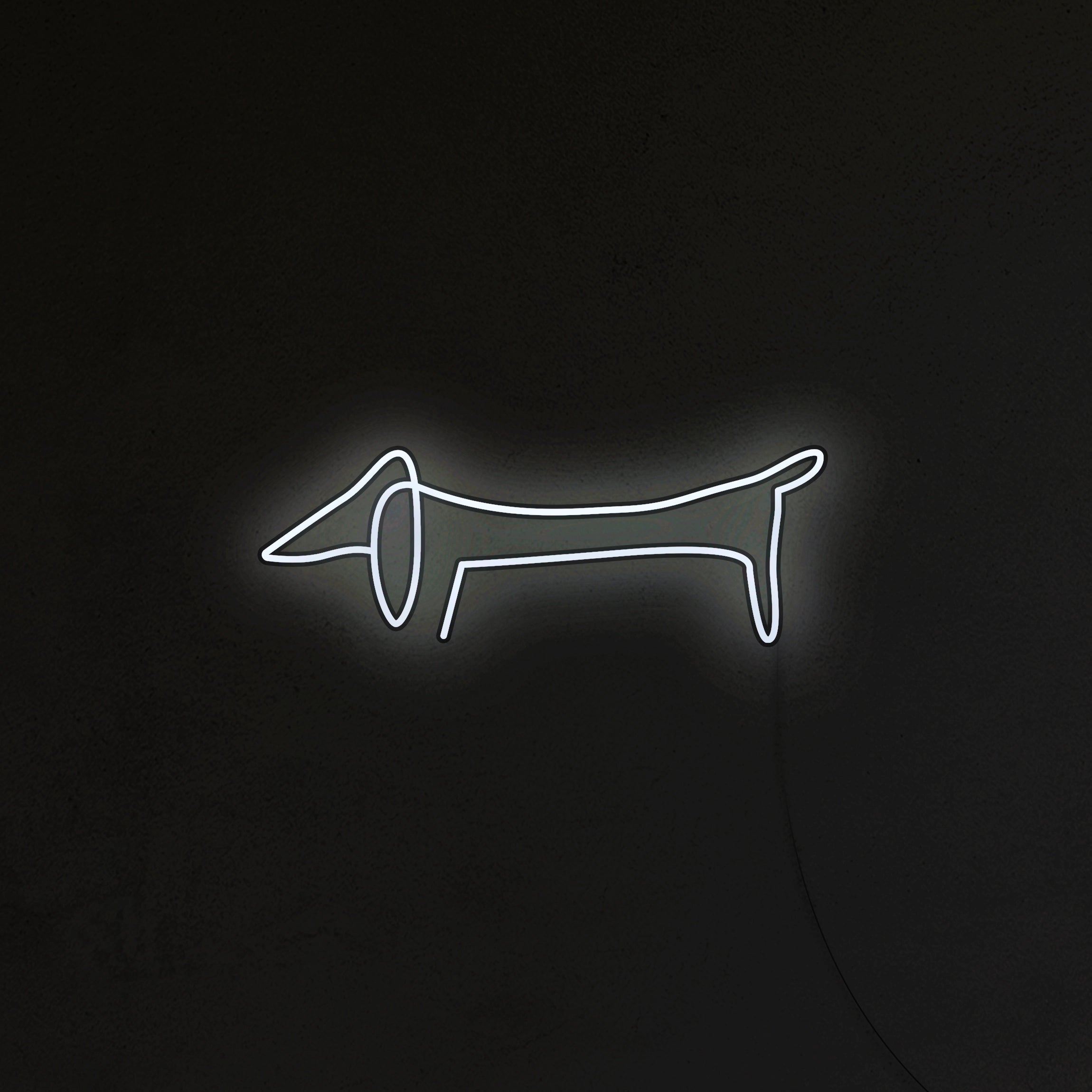 Jamnik Picasso Neon LED