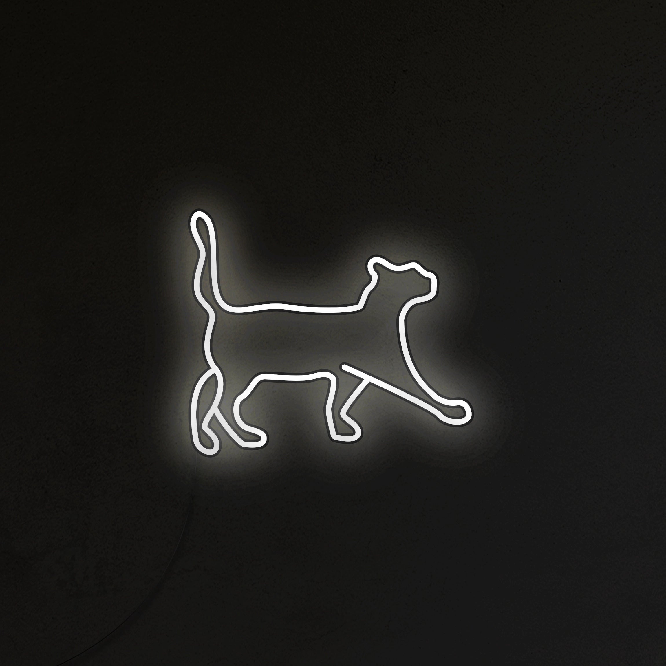 Kot Neon LED