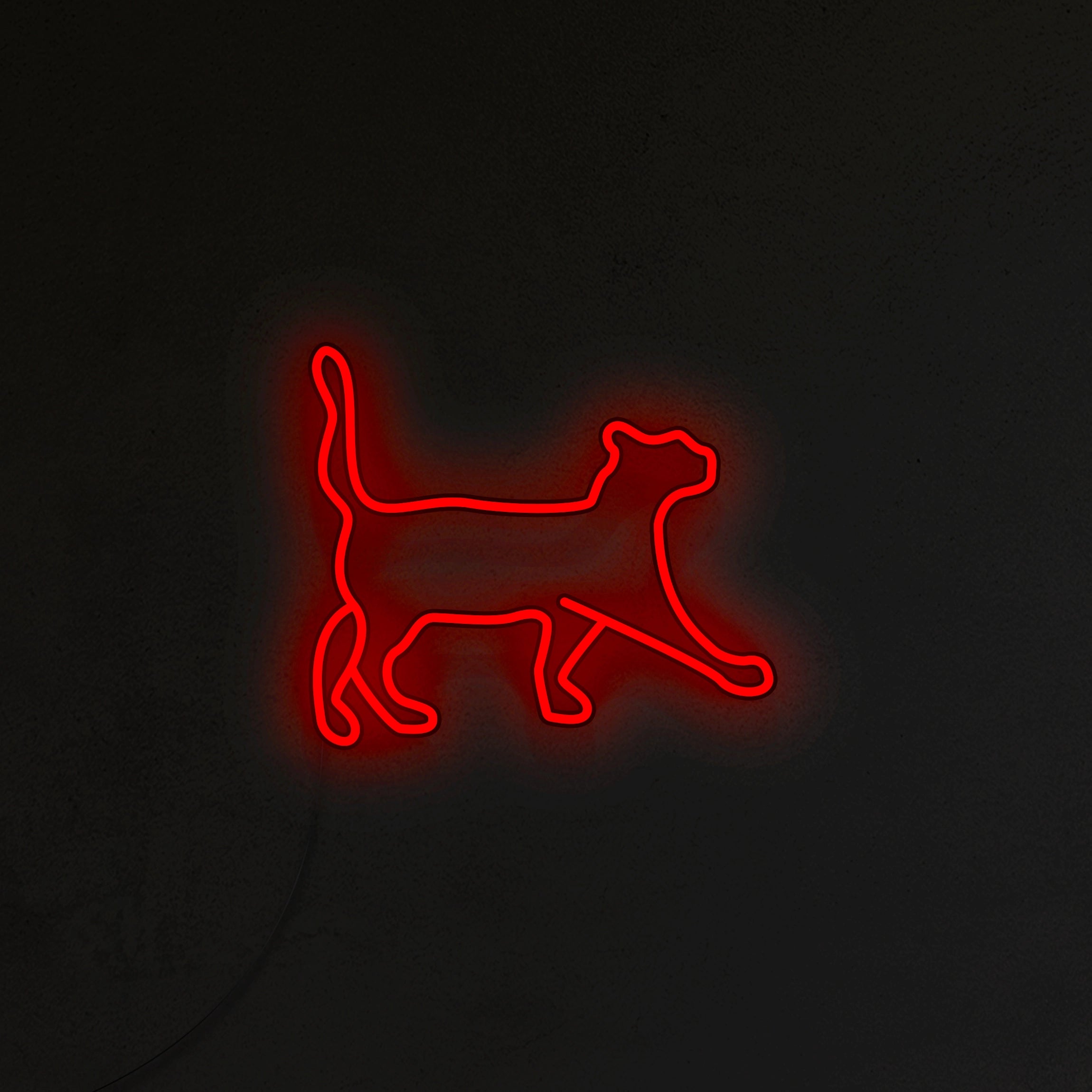 Kot Neon LED