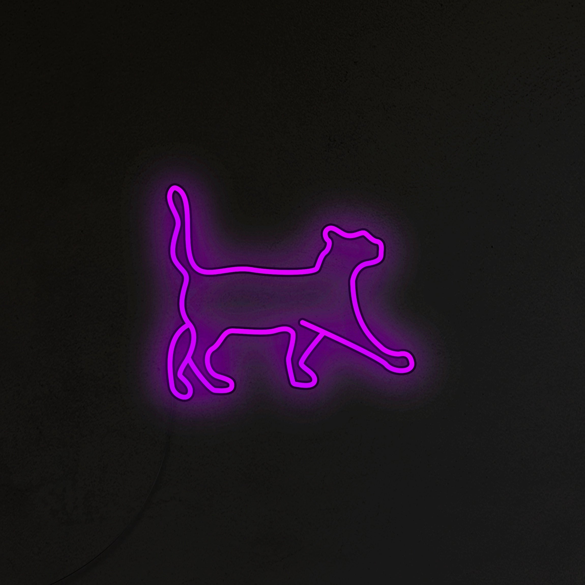 Kot Neon LED
