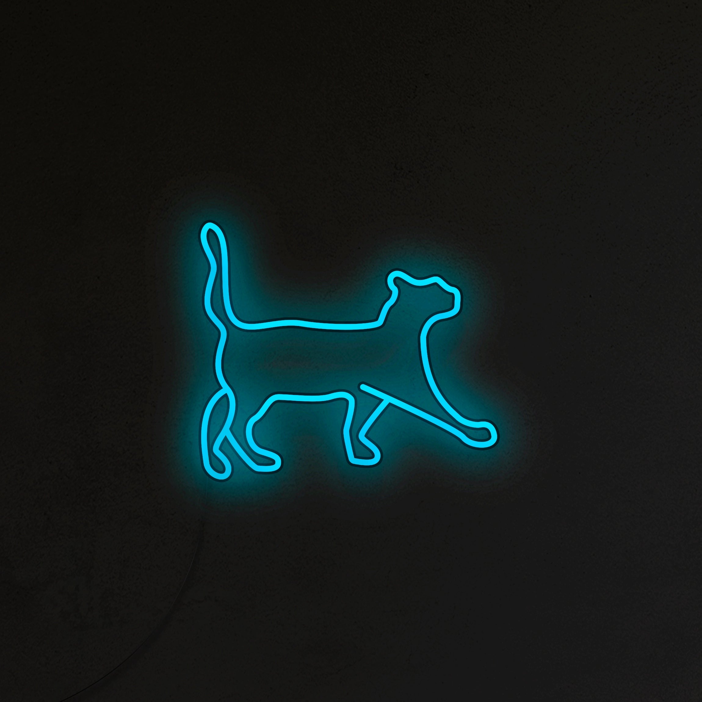 Kot Neon LED