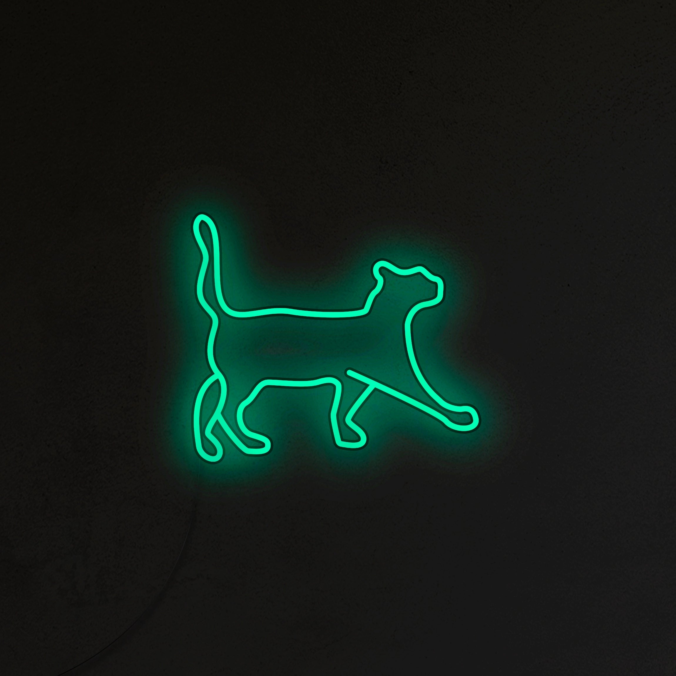 Kot Neon LED