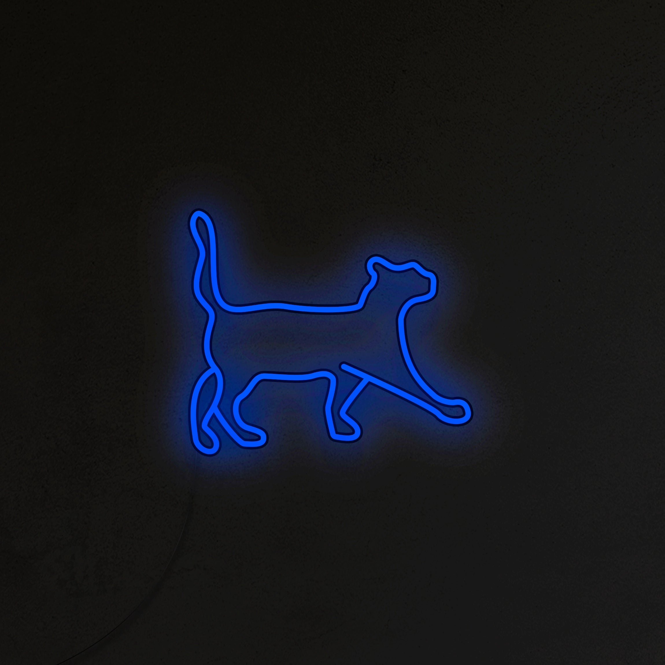 Kot Neon LED